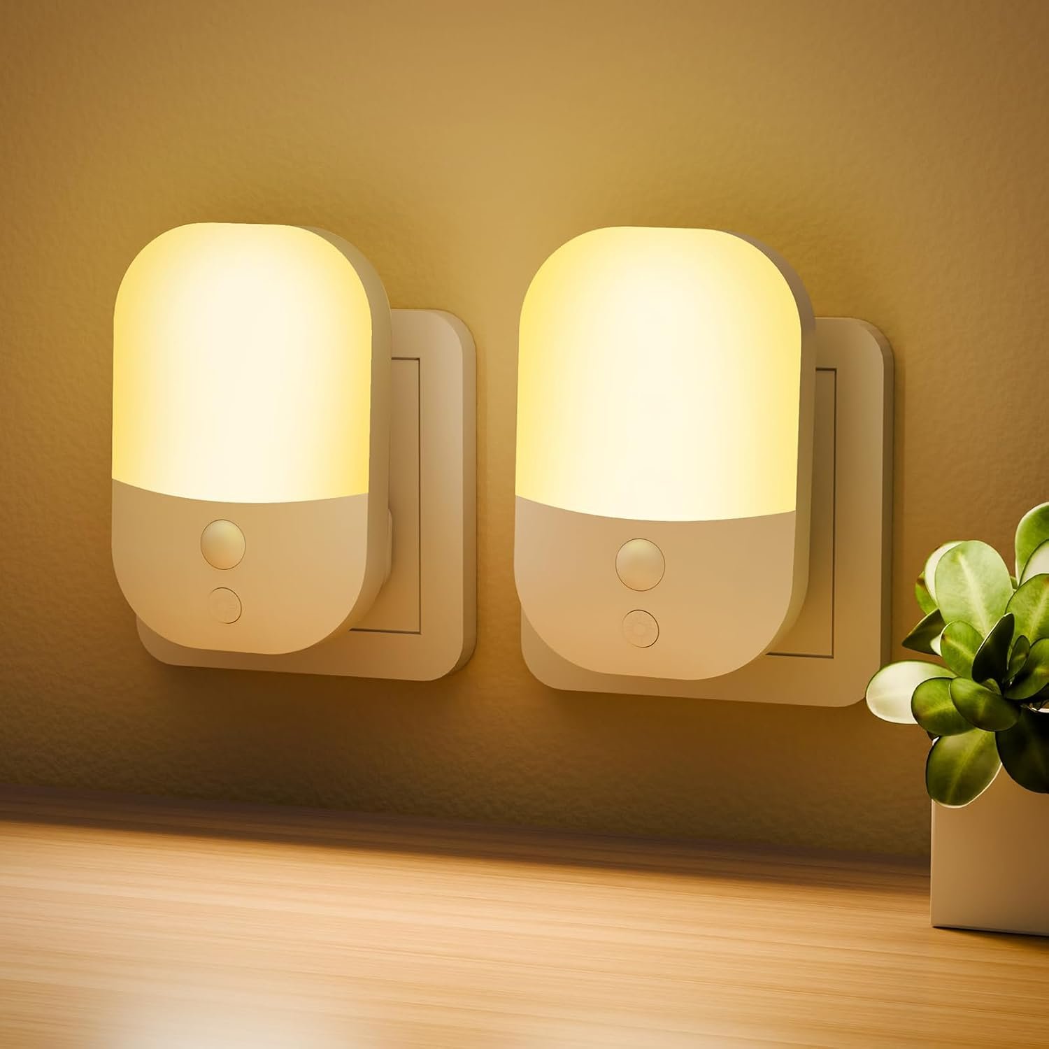 Two wall-mounted bedside lamps with beige shades and control buttons, and a green potted plant on a light-colored wooden surface.