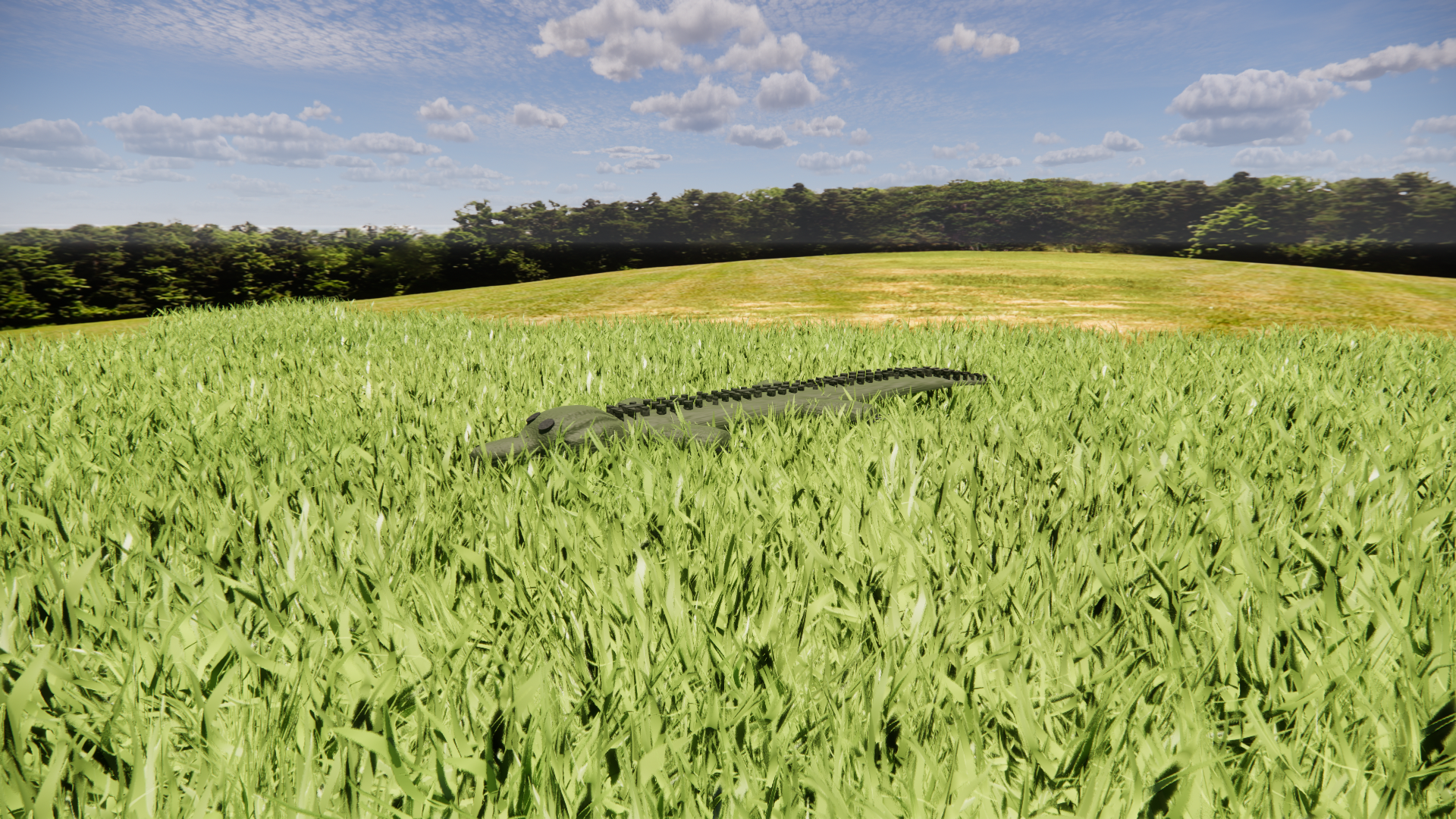 alligator in grass.png