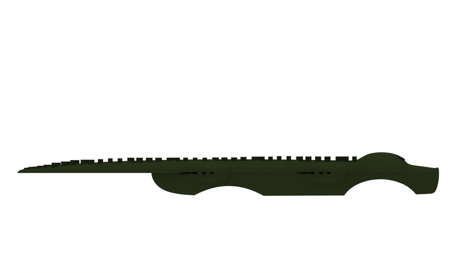 alligator side.jpg
