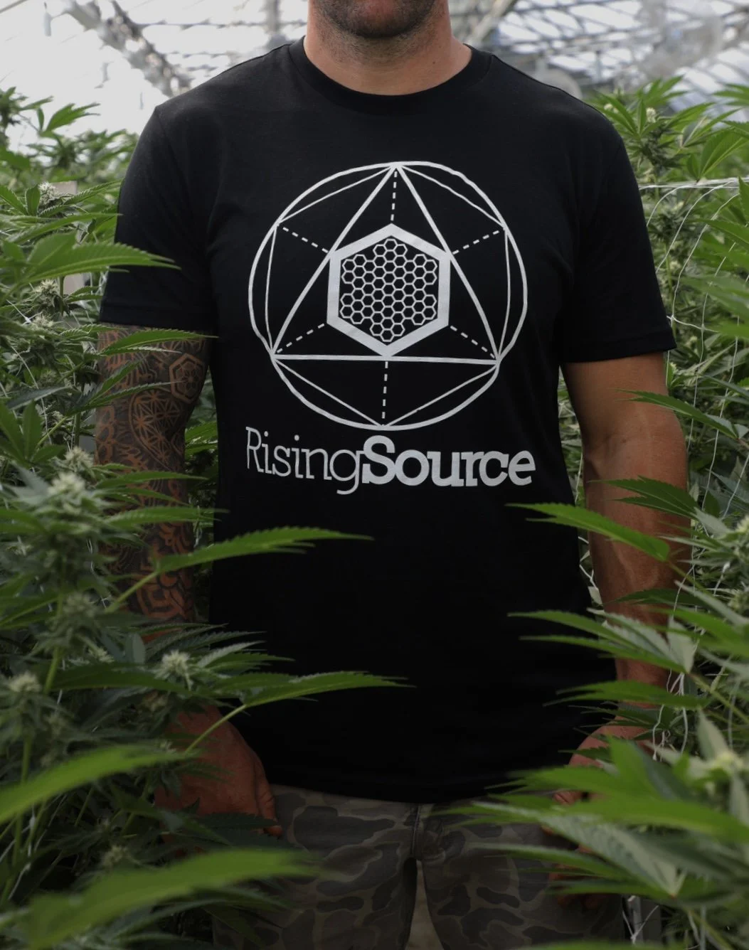 risingsourceshirt.jpg