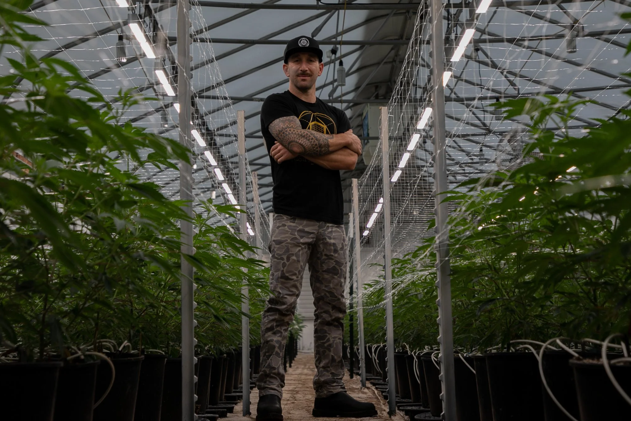A man with tattoos on his arm standing with arms crossed in a greenhouse filled with cannabis plants in pots, with LED grow lights overhead.