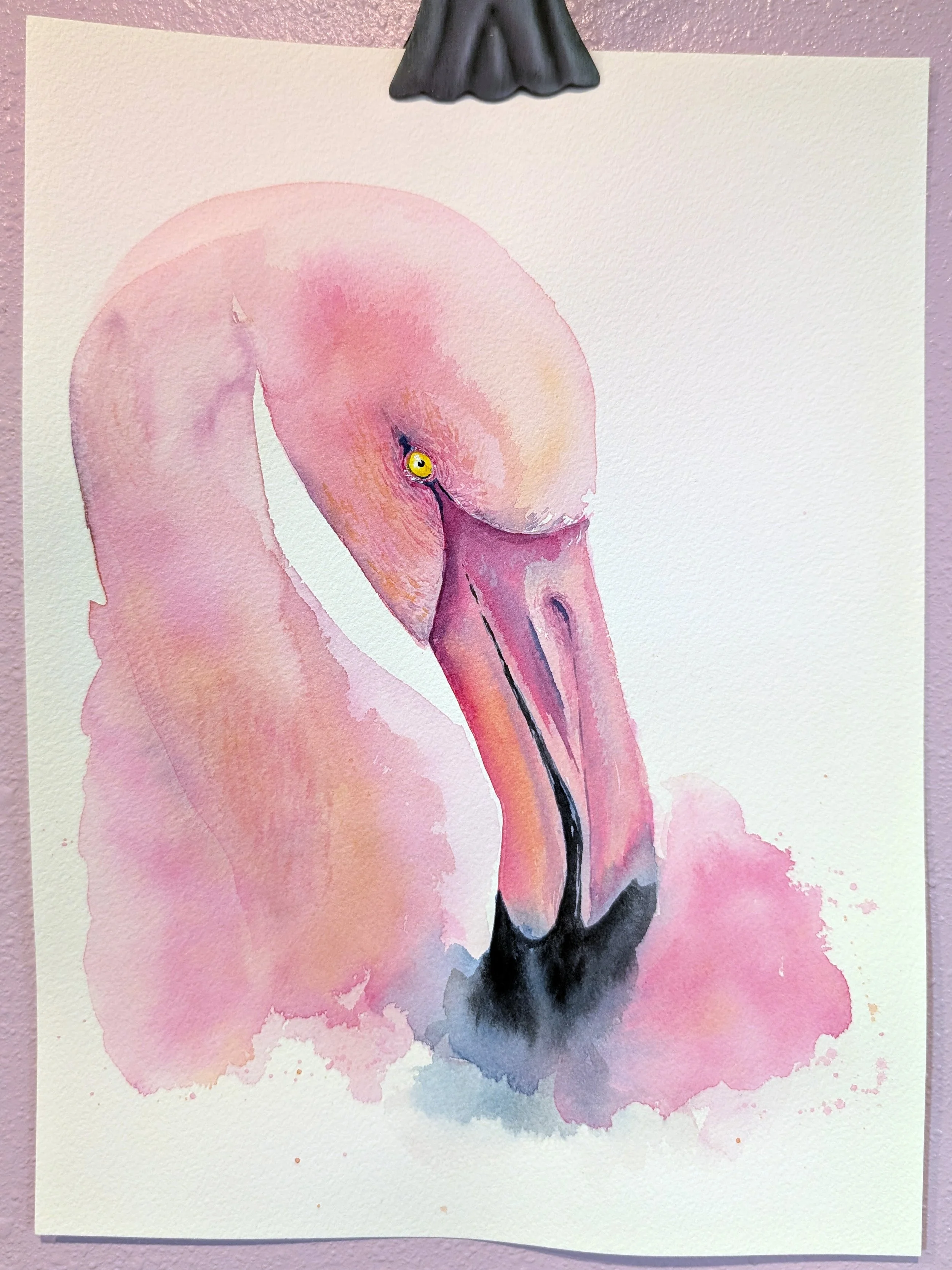 Flamingo.jpg