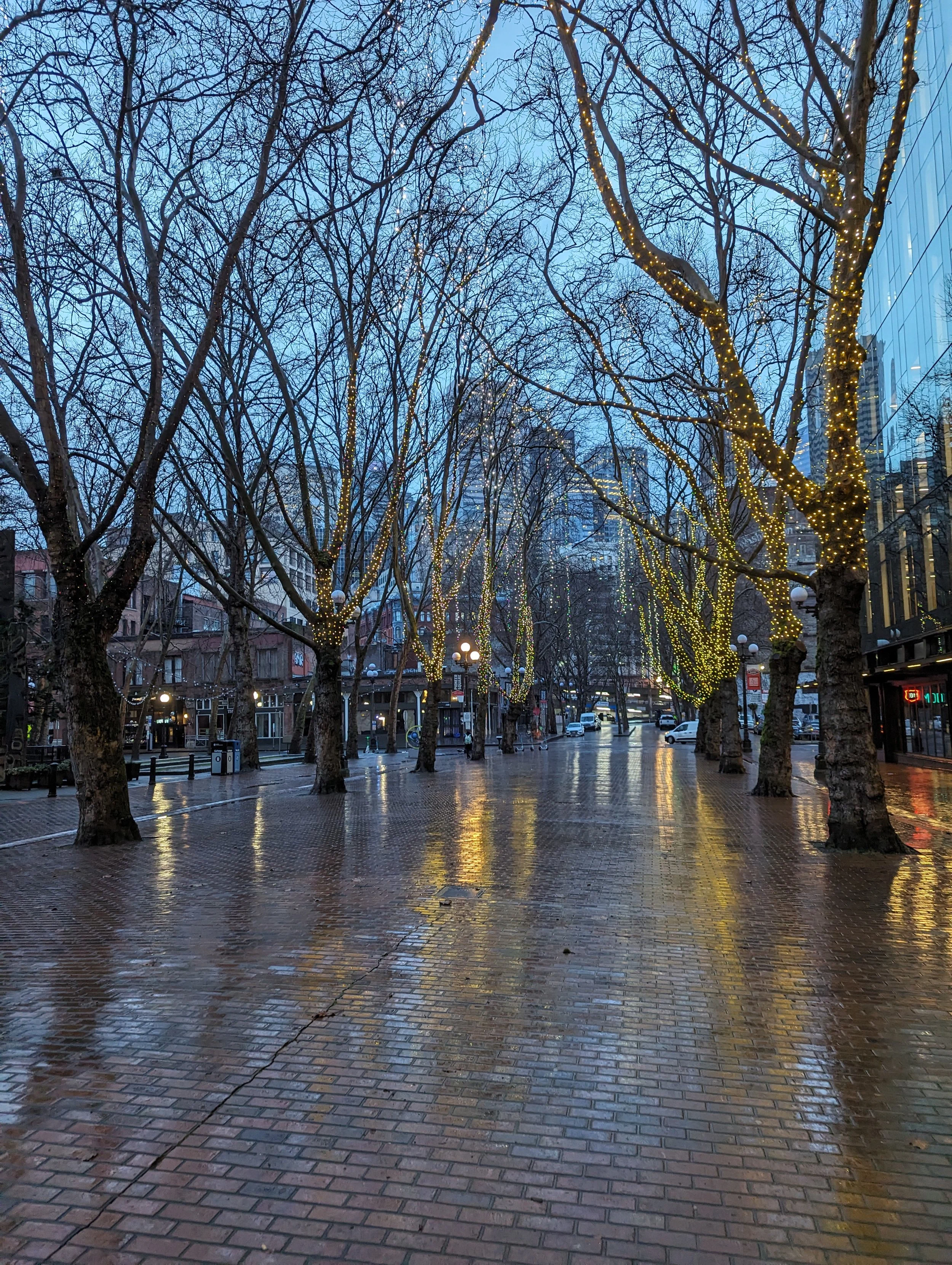 Seattle Rainy City.jpg