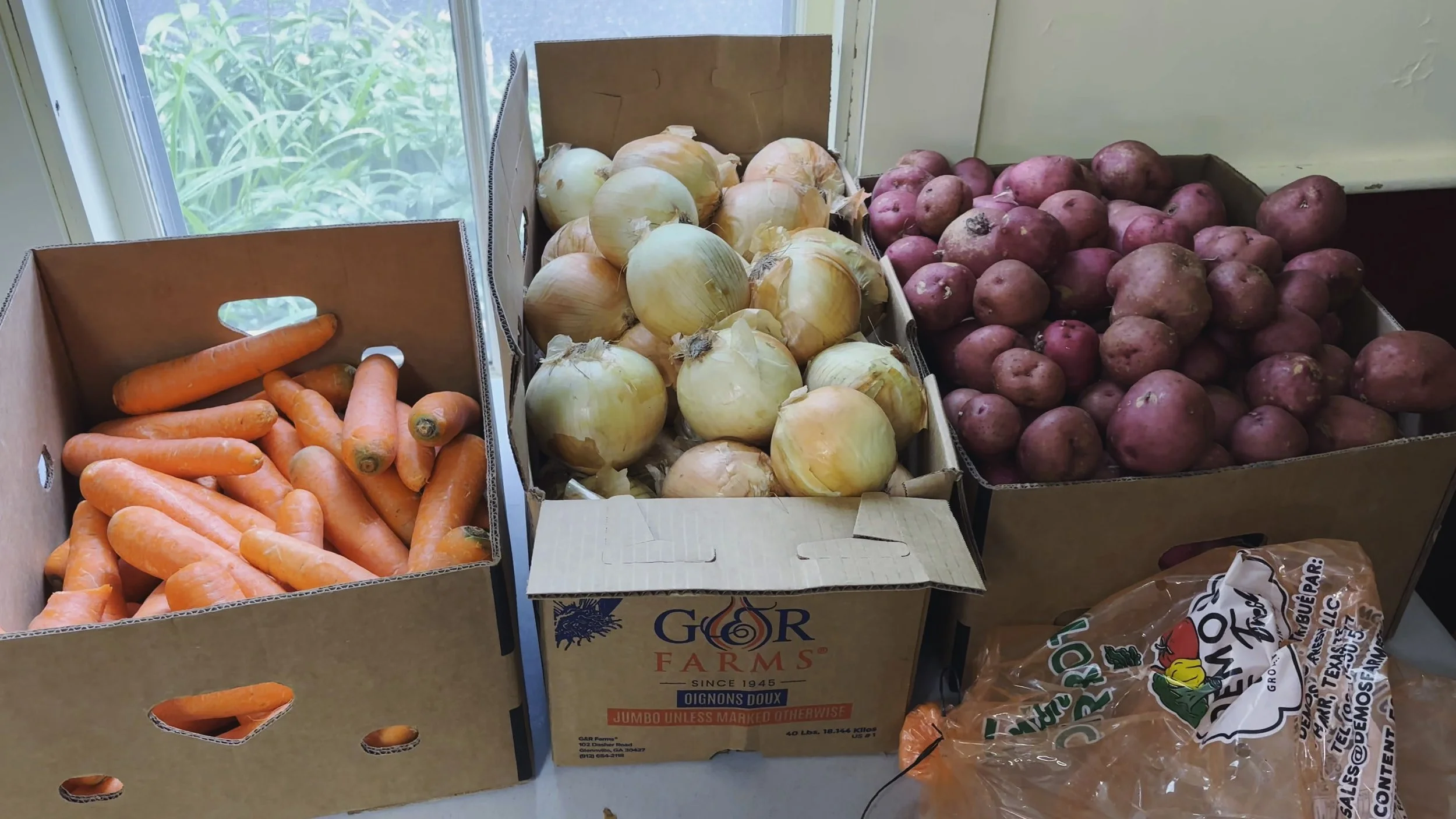 Three boxes of vegetables, with carrots in the left box, yellow onions in the middle box, and red potatoes in the right box, placed on a countertop near a window.