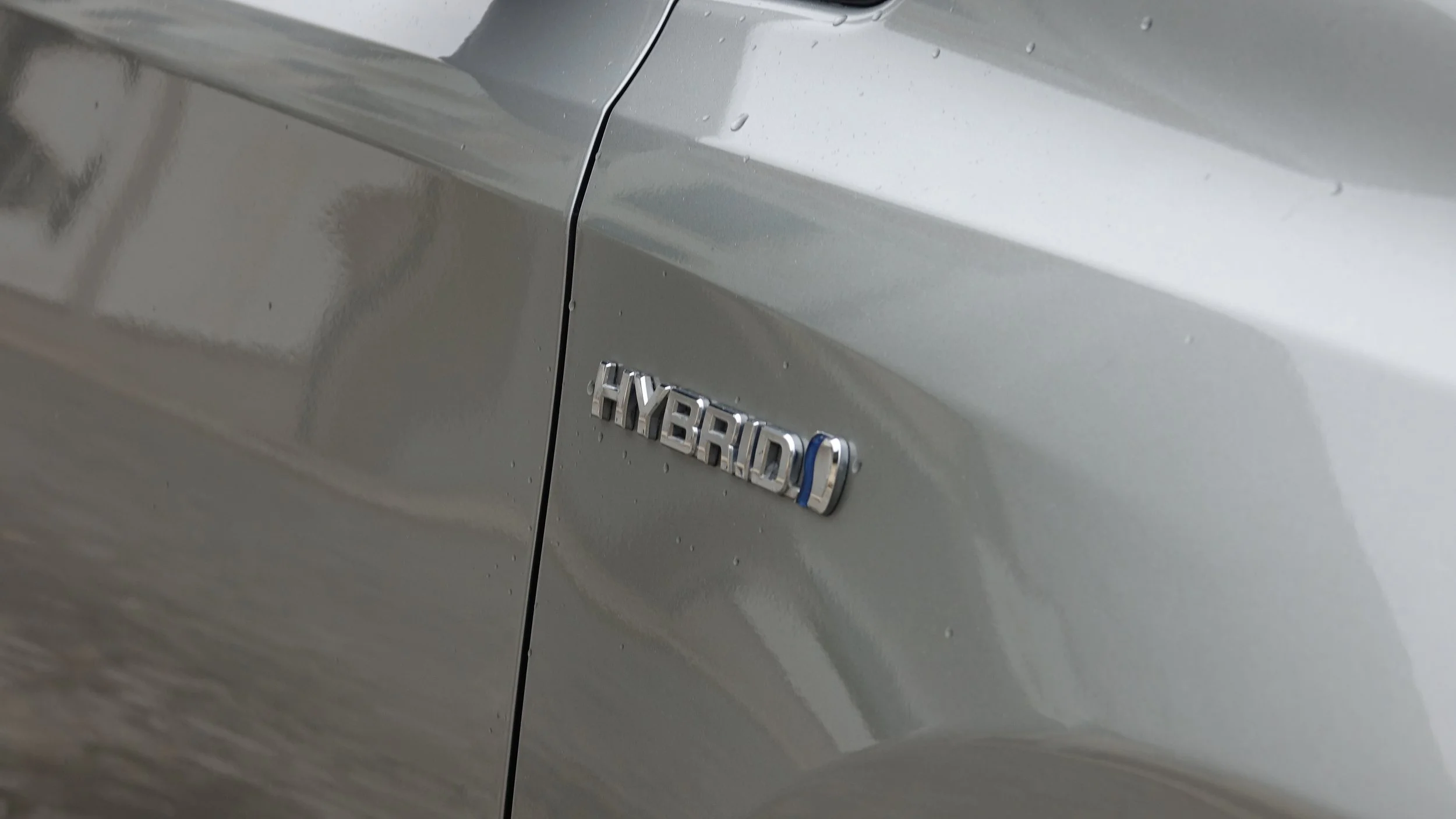 foto7 auris 2013.JPG