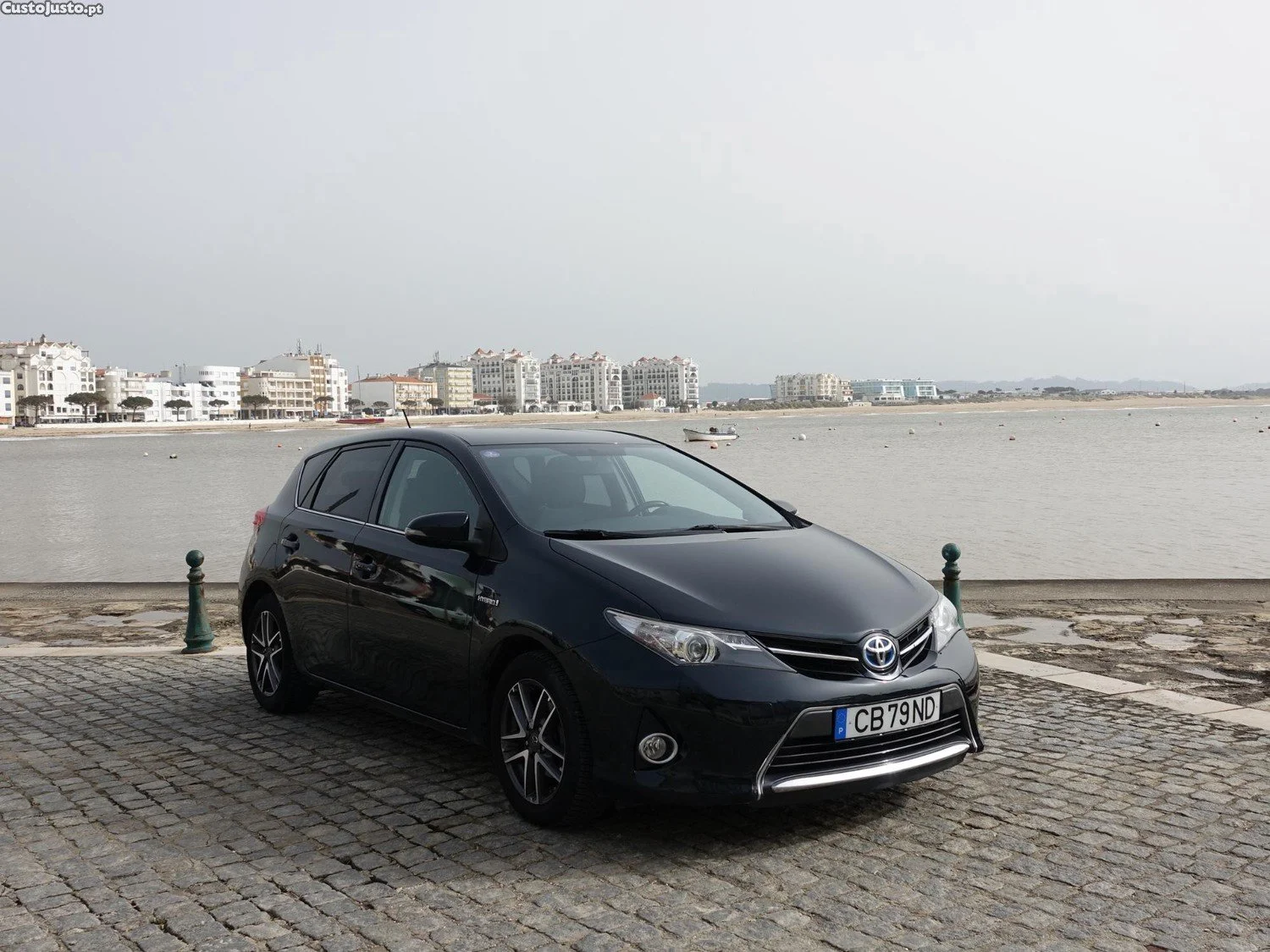 auris zwart 2015 1.jpg