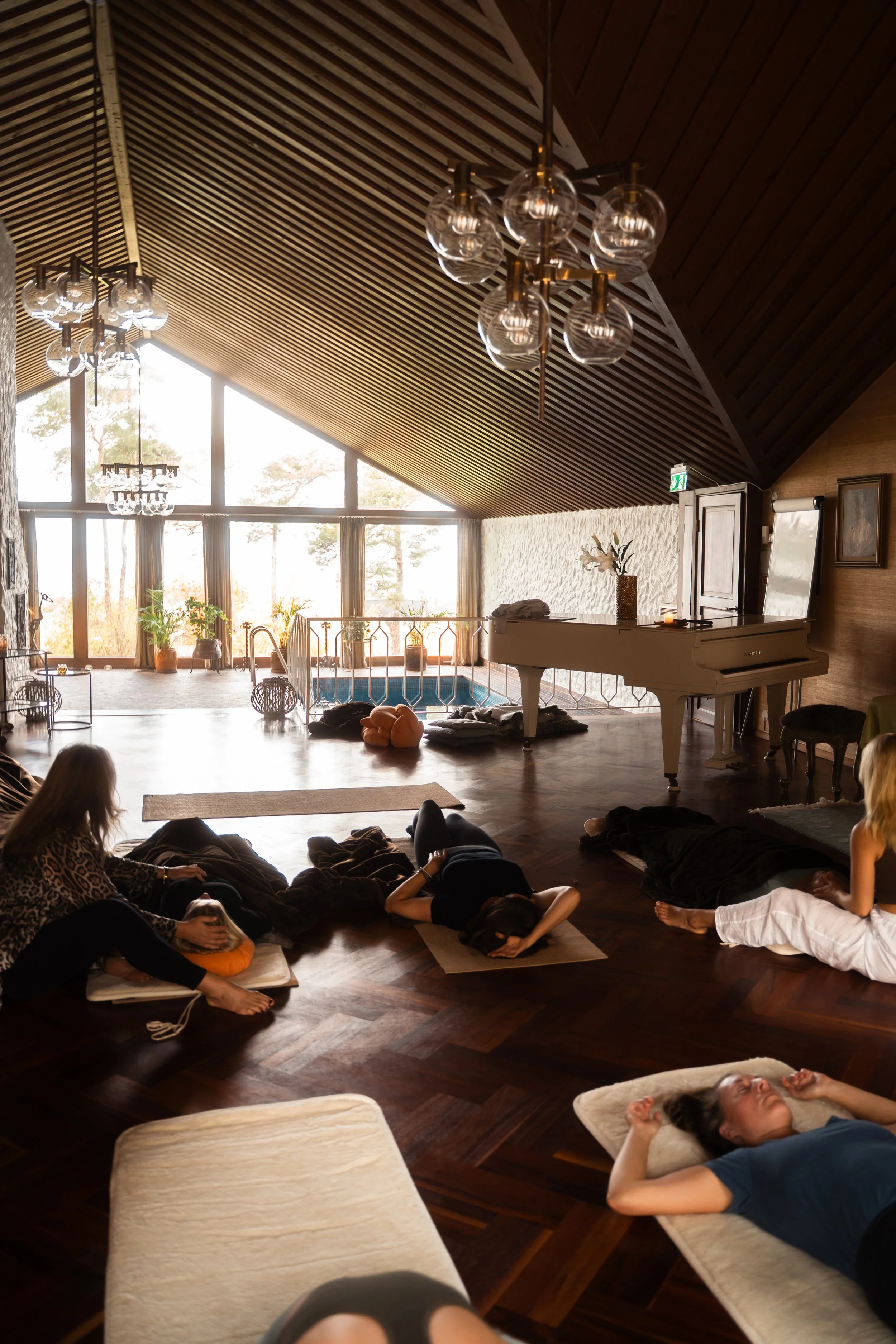 Life Force Activation Facilitator Training Meditation I grupp.jpg