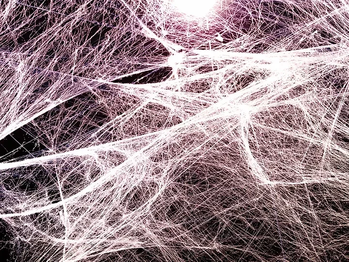 Fascian är kroppens bortglömda kommunikationsnät