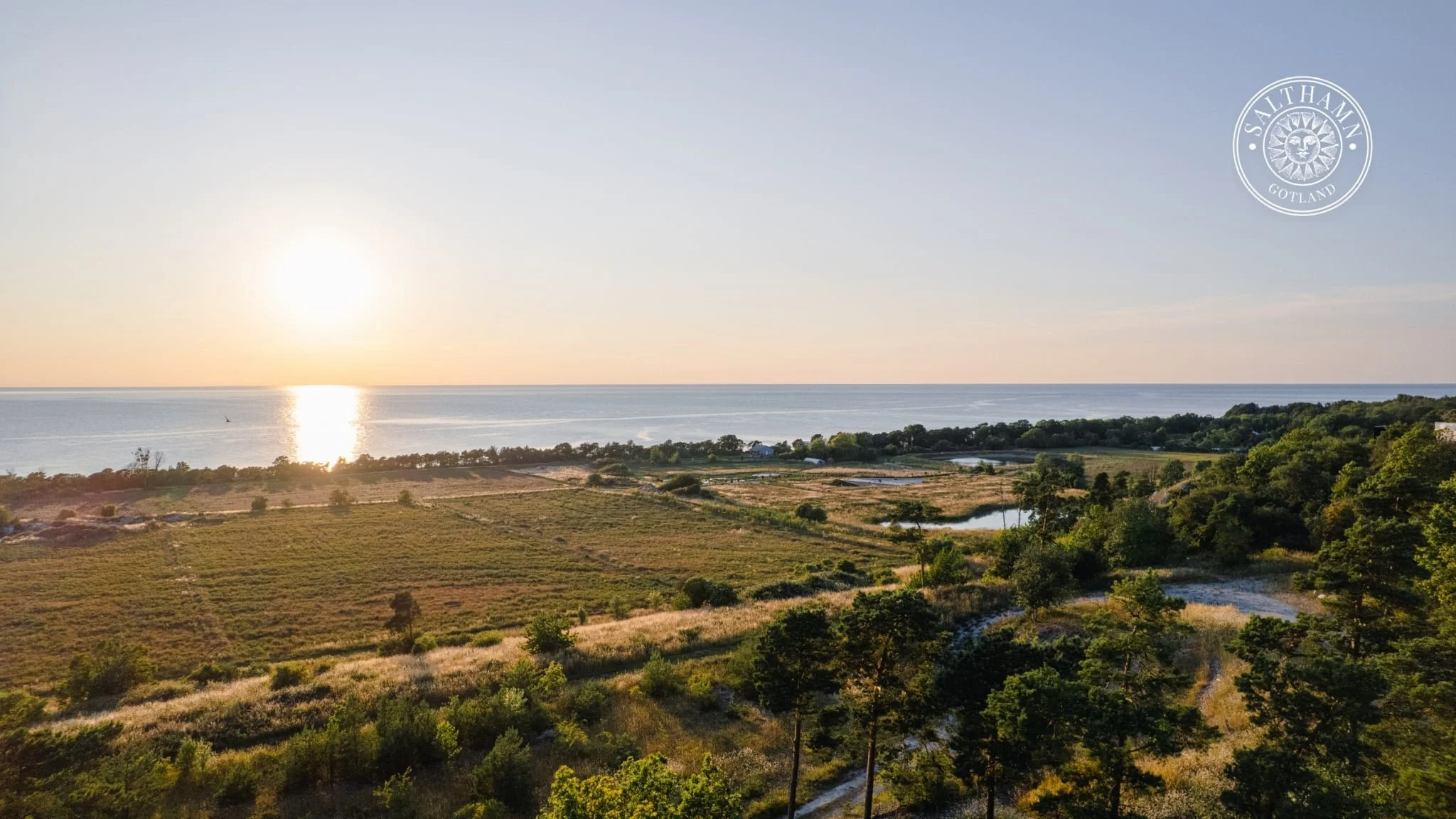 Life Force Activation Petra Dahlberg.jpg