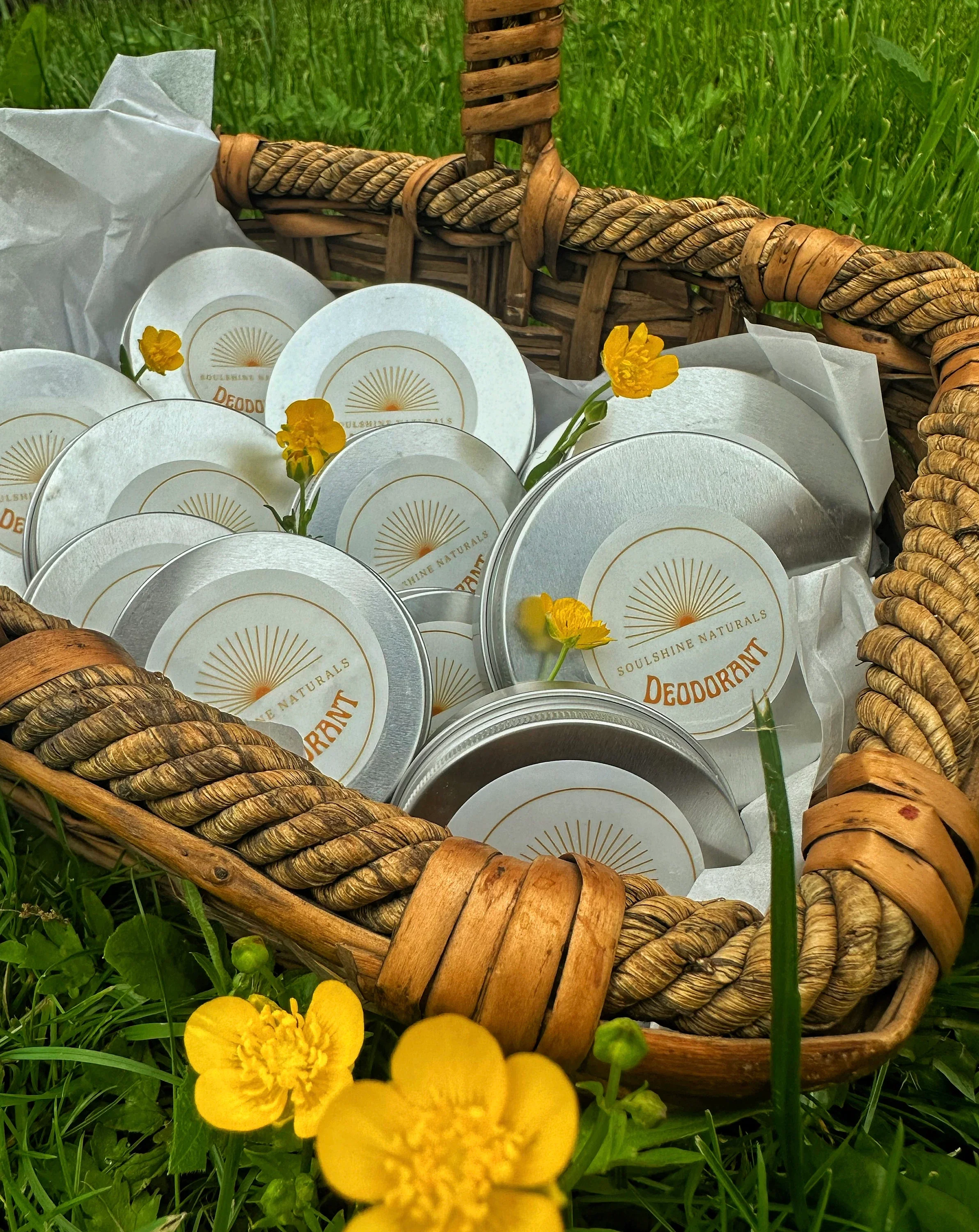 Deod with yellow flowers.webp