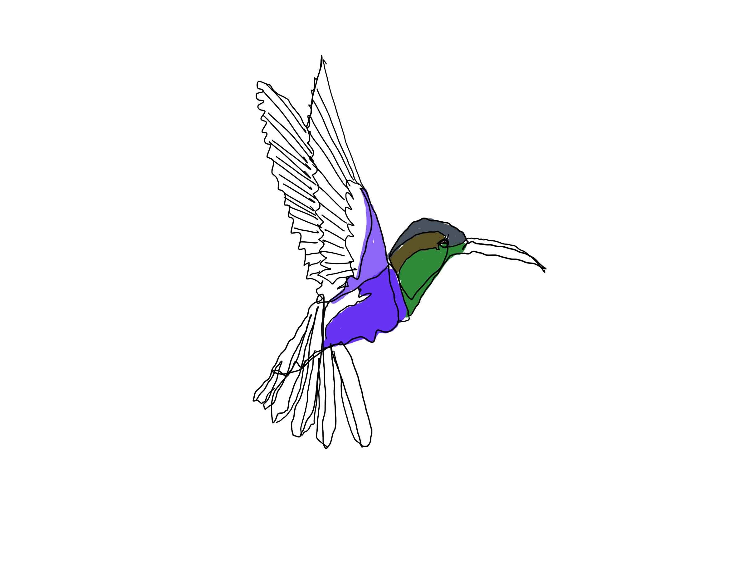 Colibri