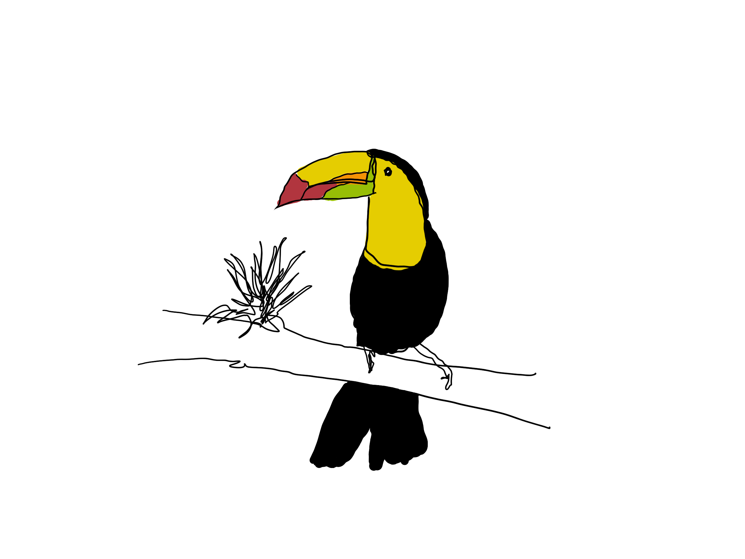 Tucano