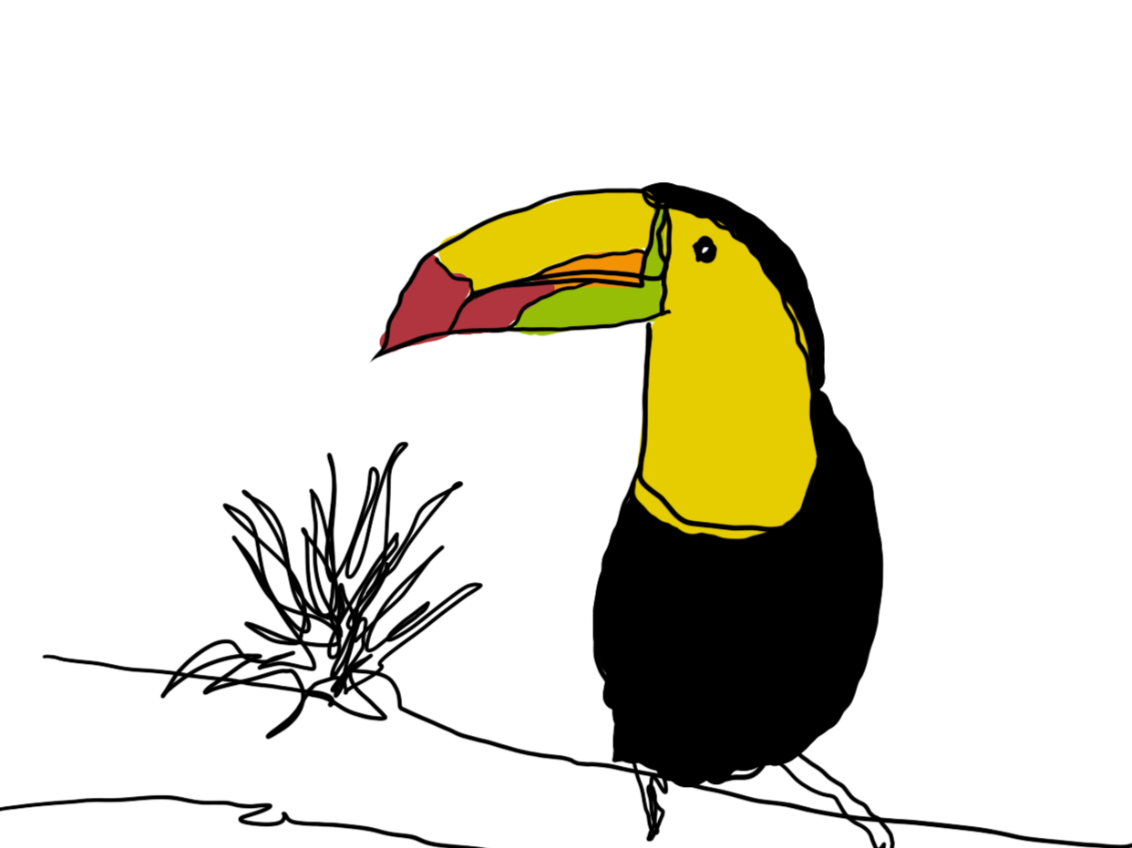 LOURES_TUCANO.png