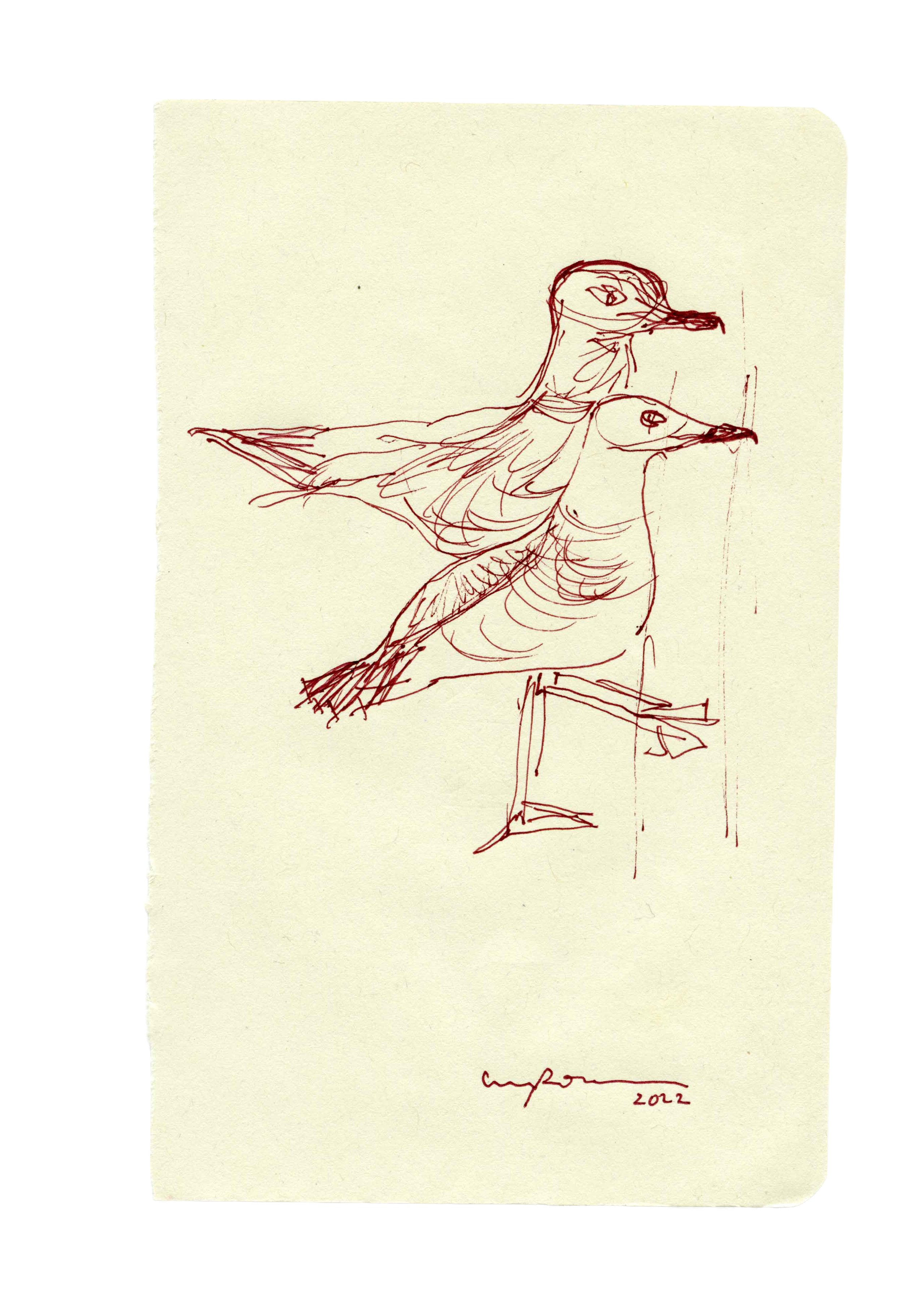 Gaivotas