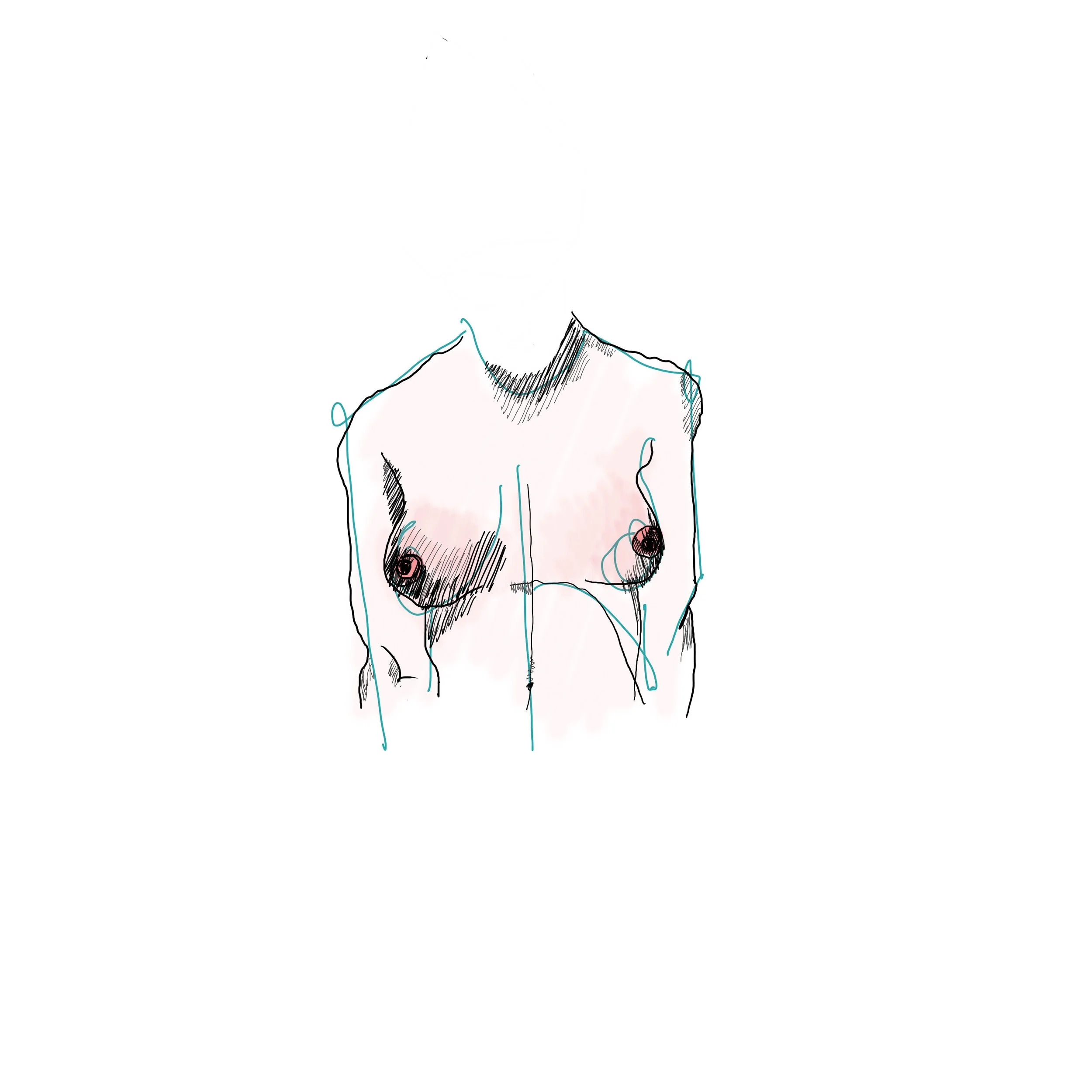 Busto