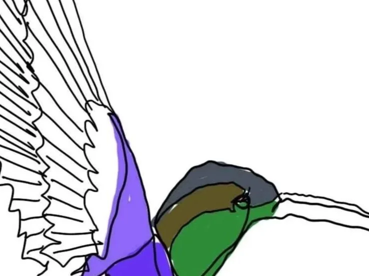 LOURES_COLIBRI.jpg