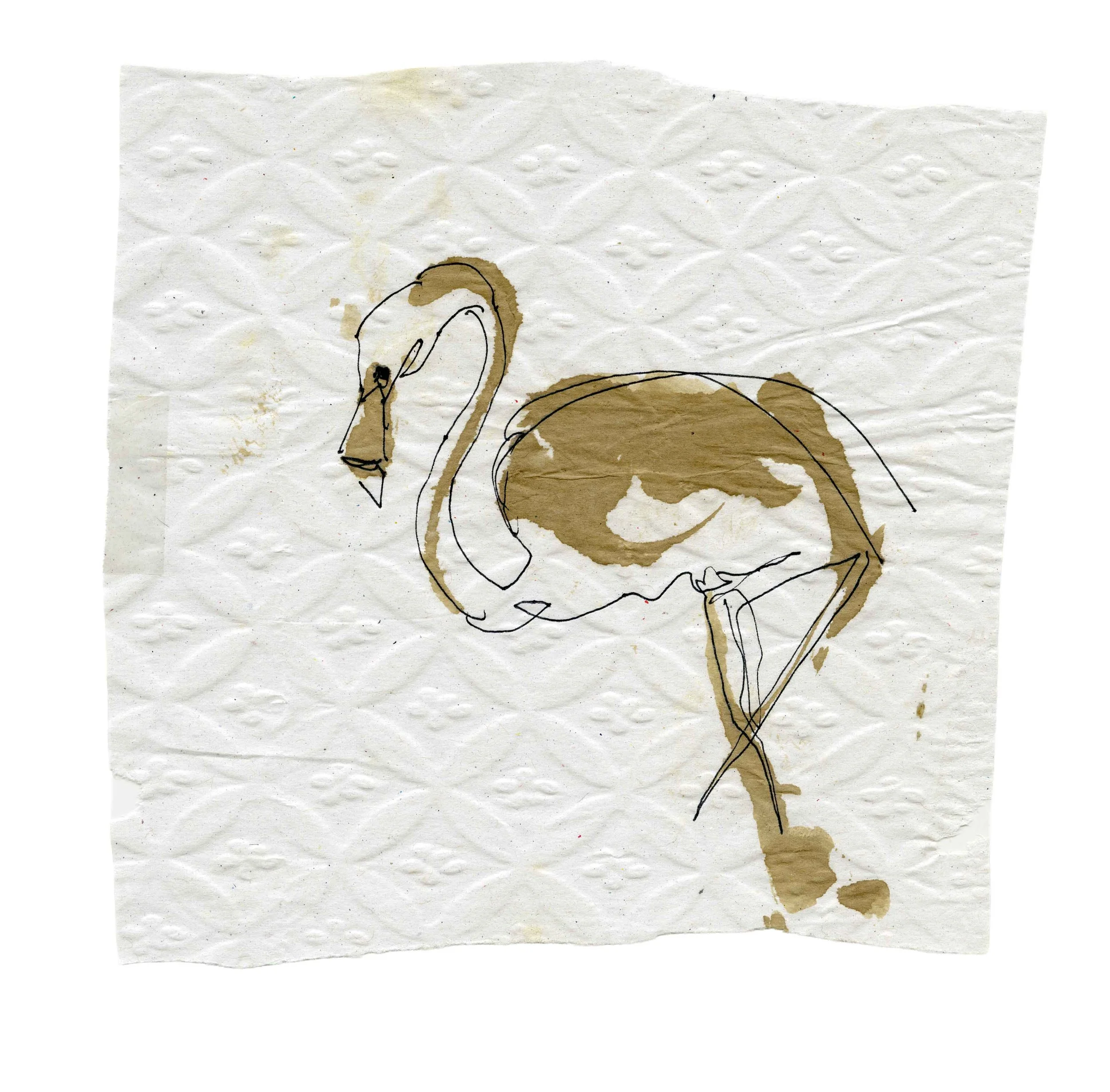 Flamingo a café