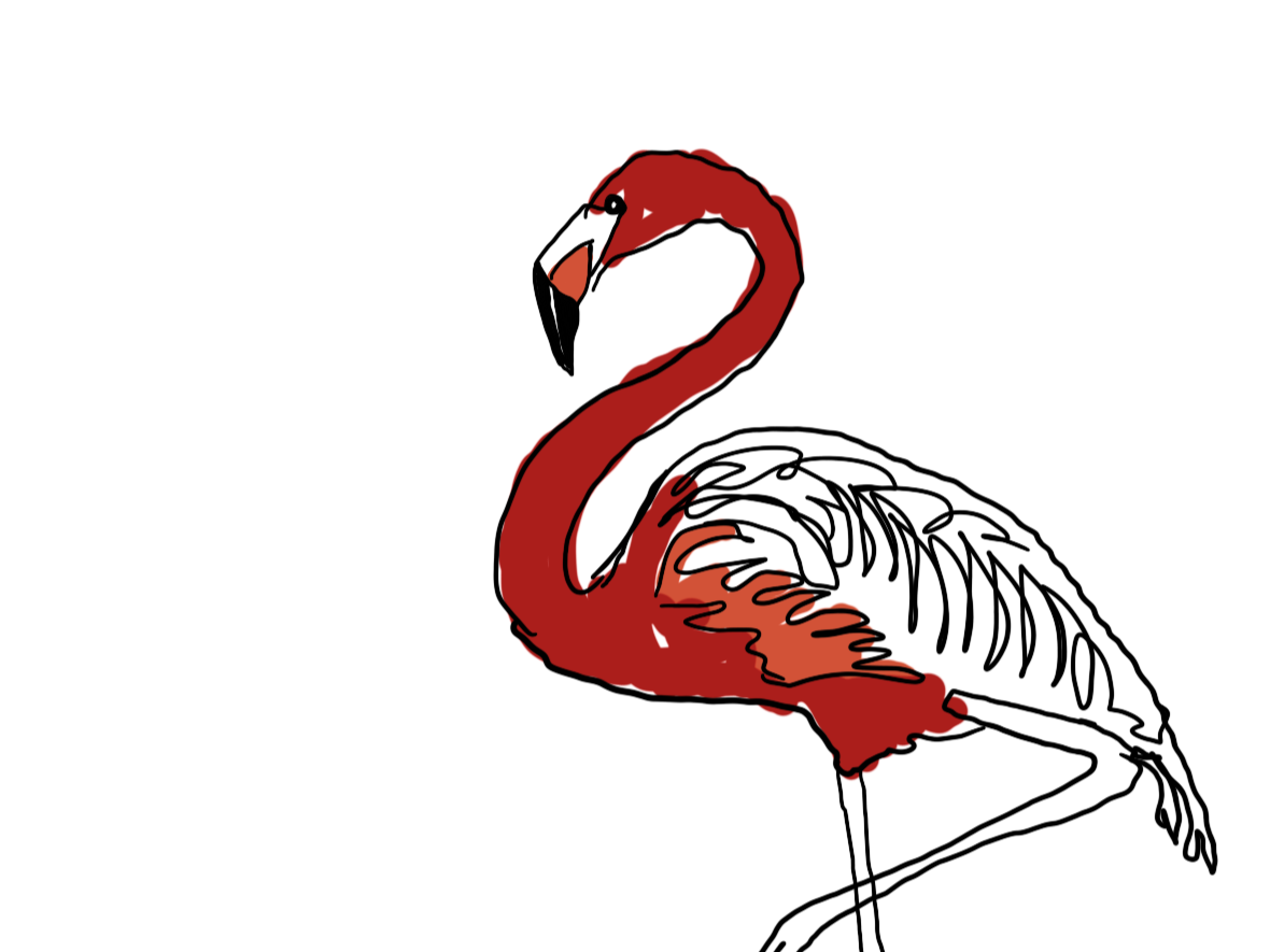 LOURES_FLAMINGO.png