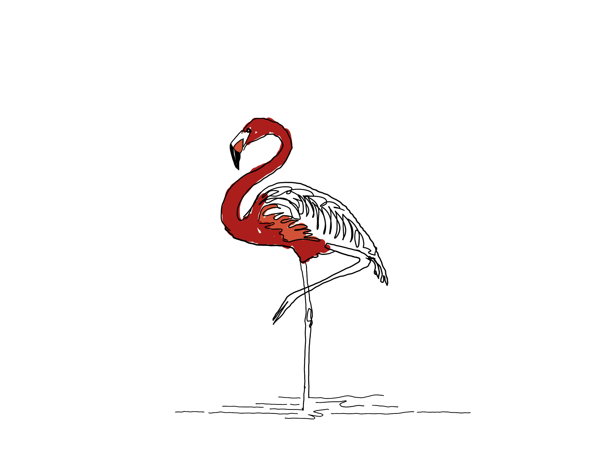 Flamingo