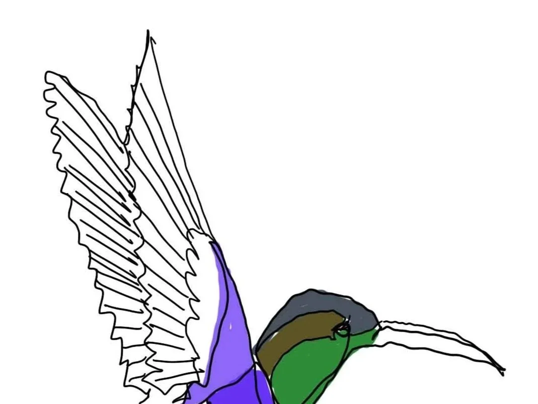LOURES_COLIBRI.jpg