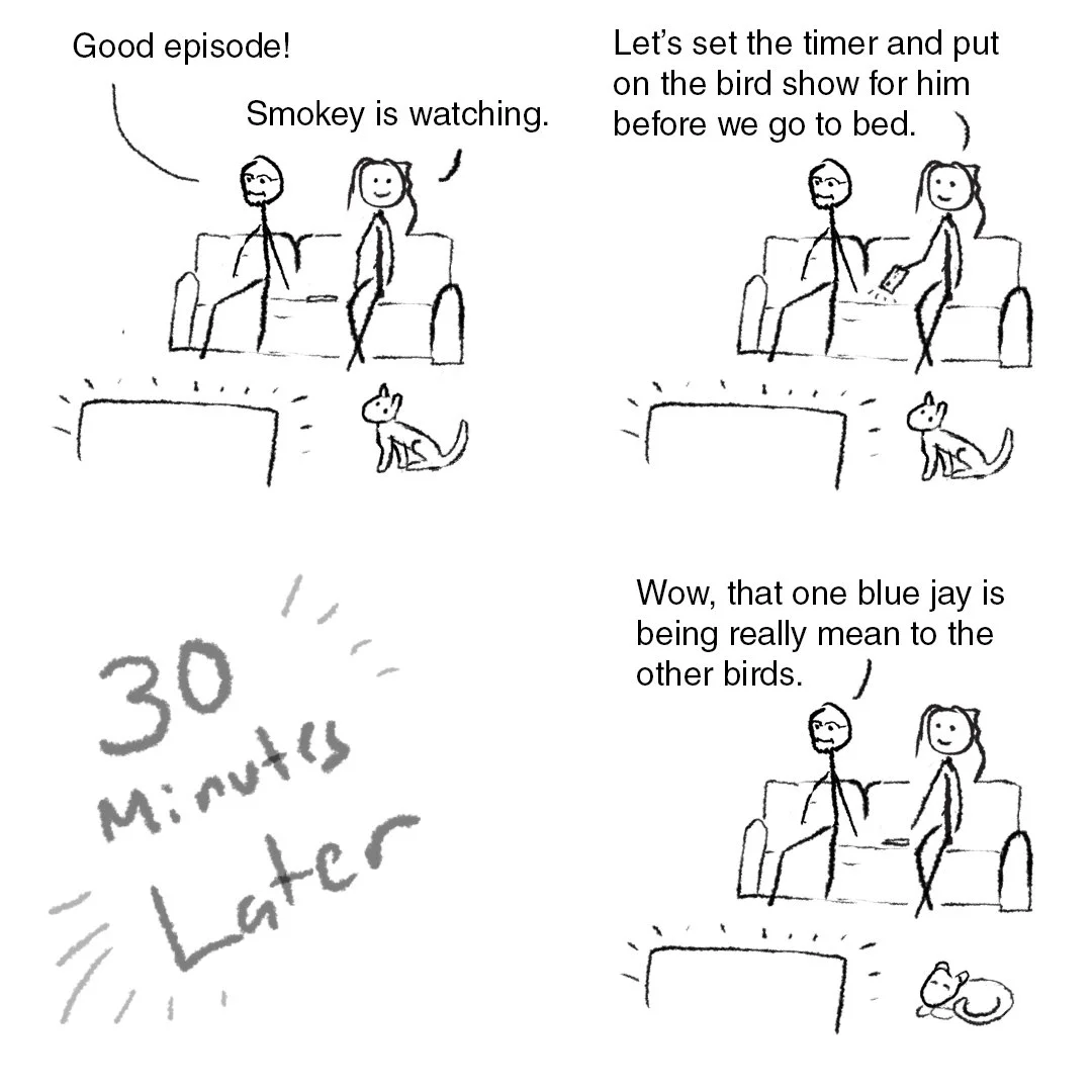 47_Distracted by birds.jpg