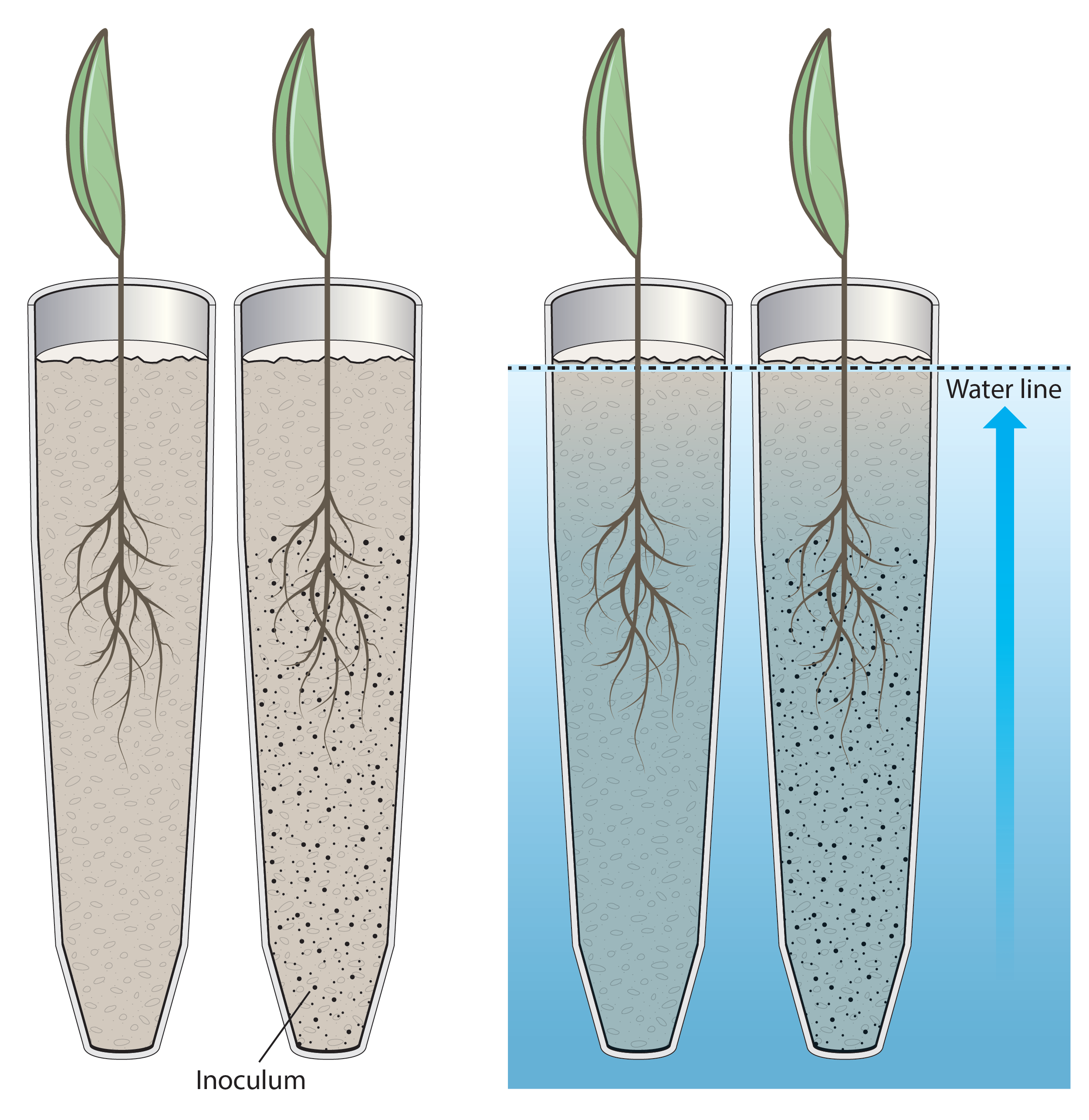 Bio research Plants.png