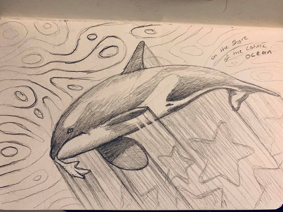 Orca.jpg