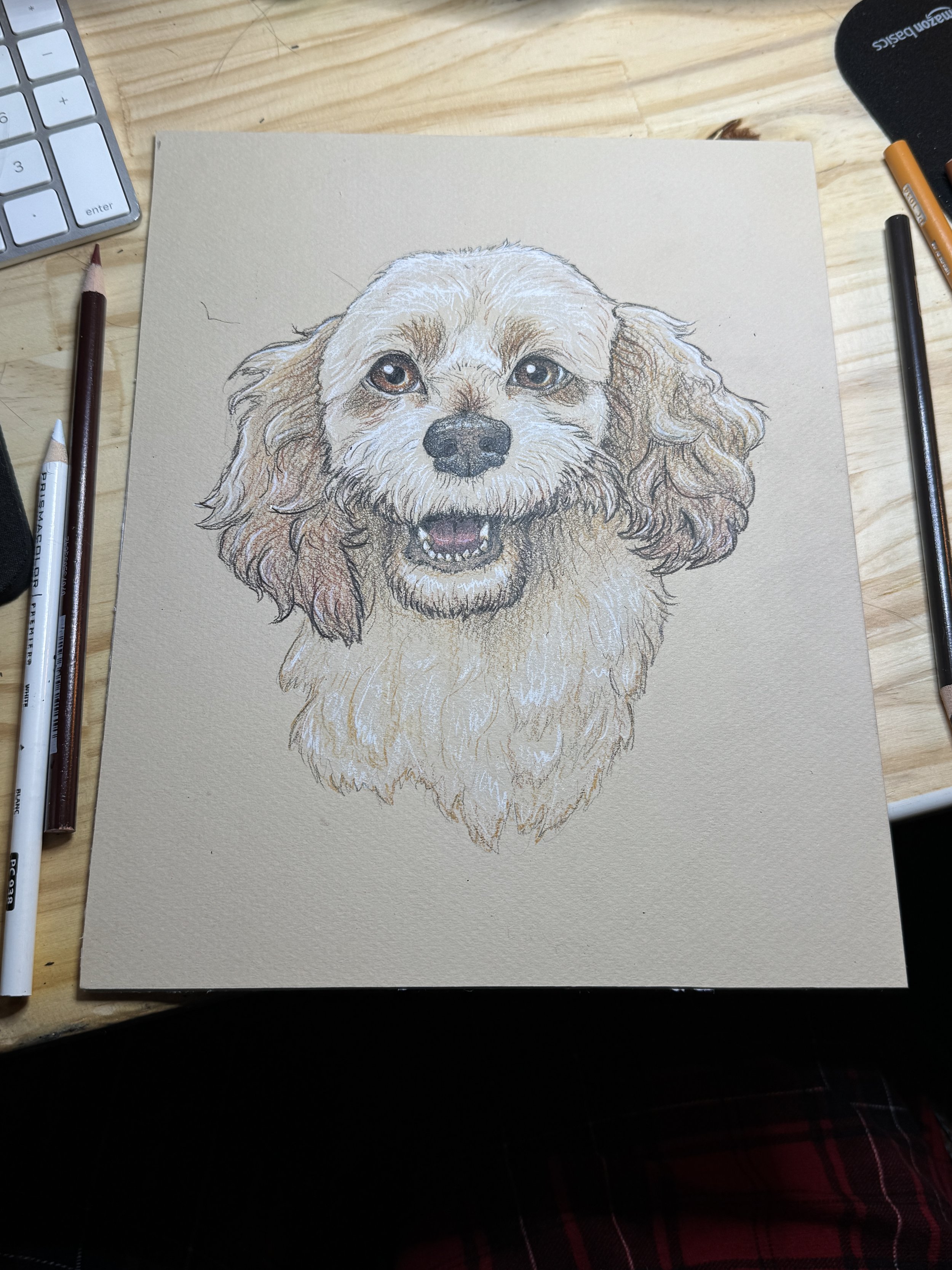 PetPortrait Zoe.JPEG