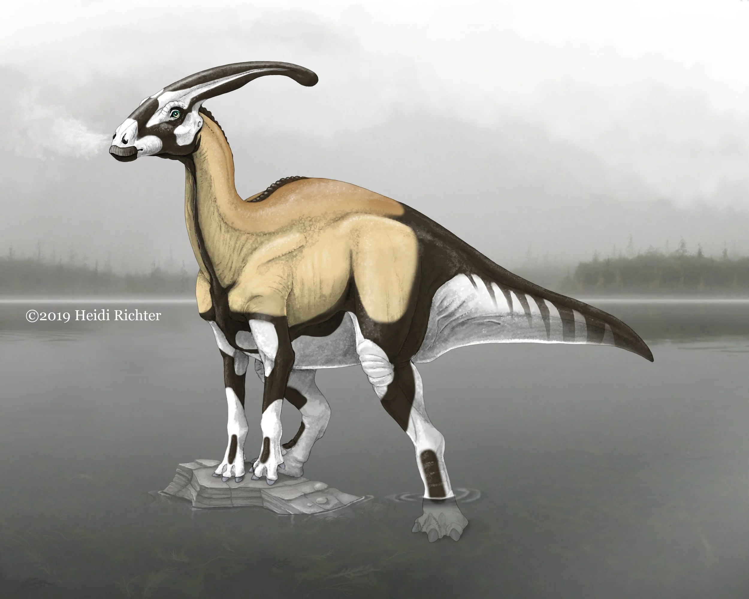 Paleo Parasaurolophus.jpg