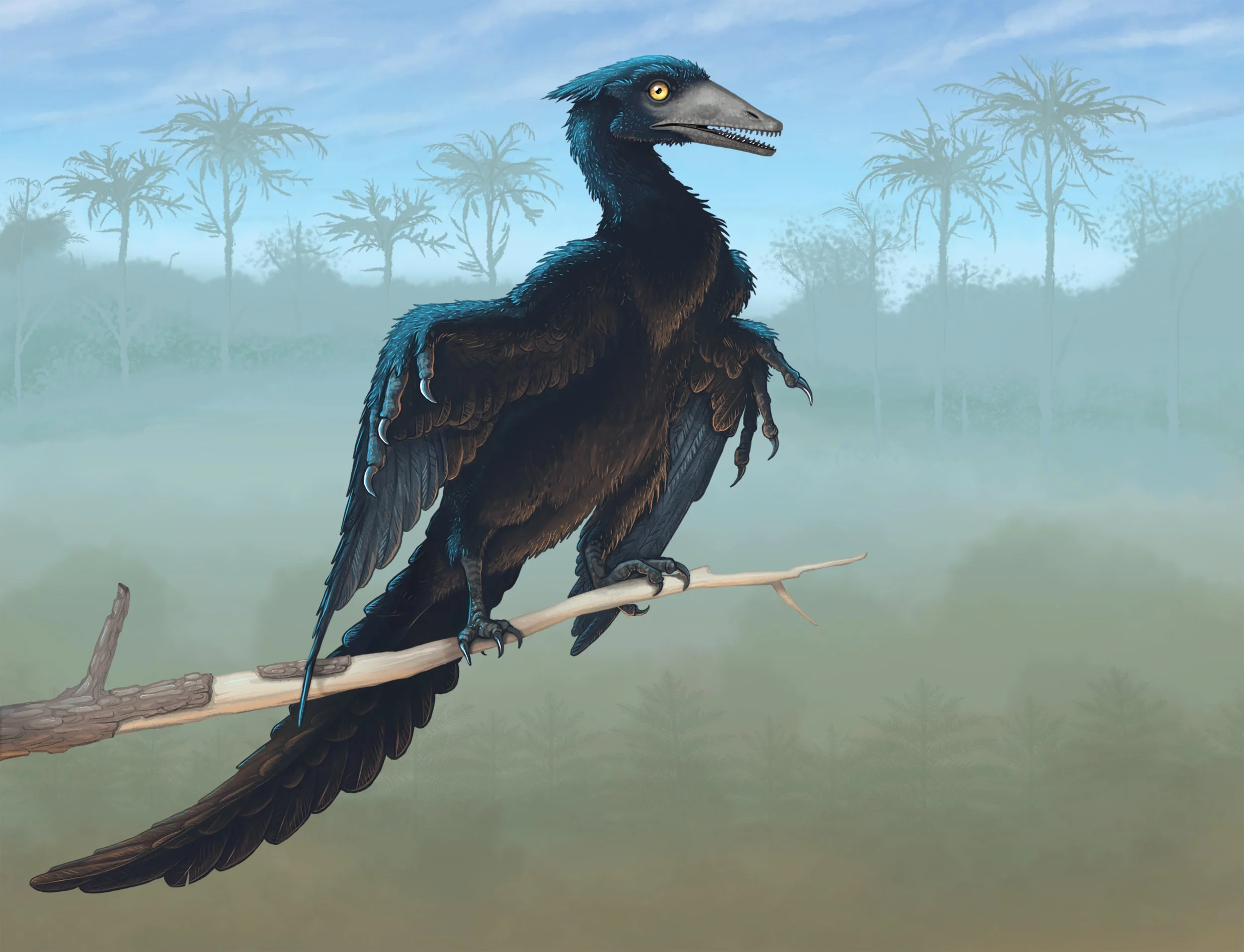 Paleo Archaeopteryx.jpg