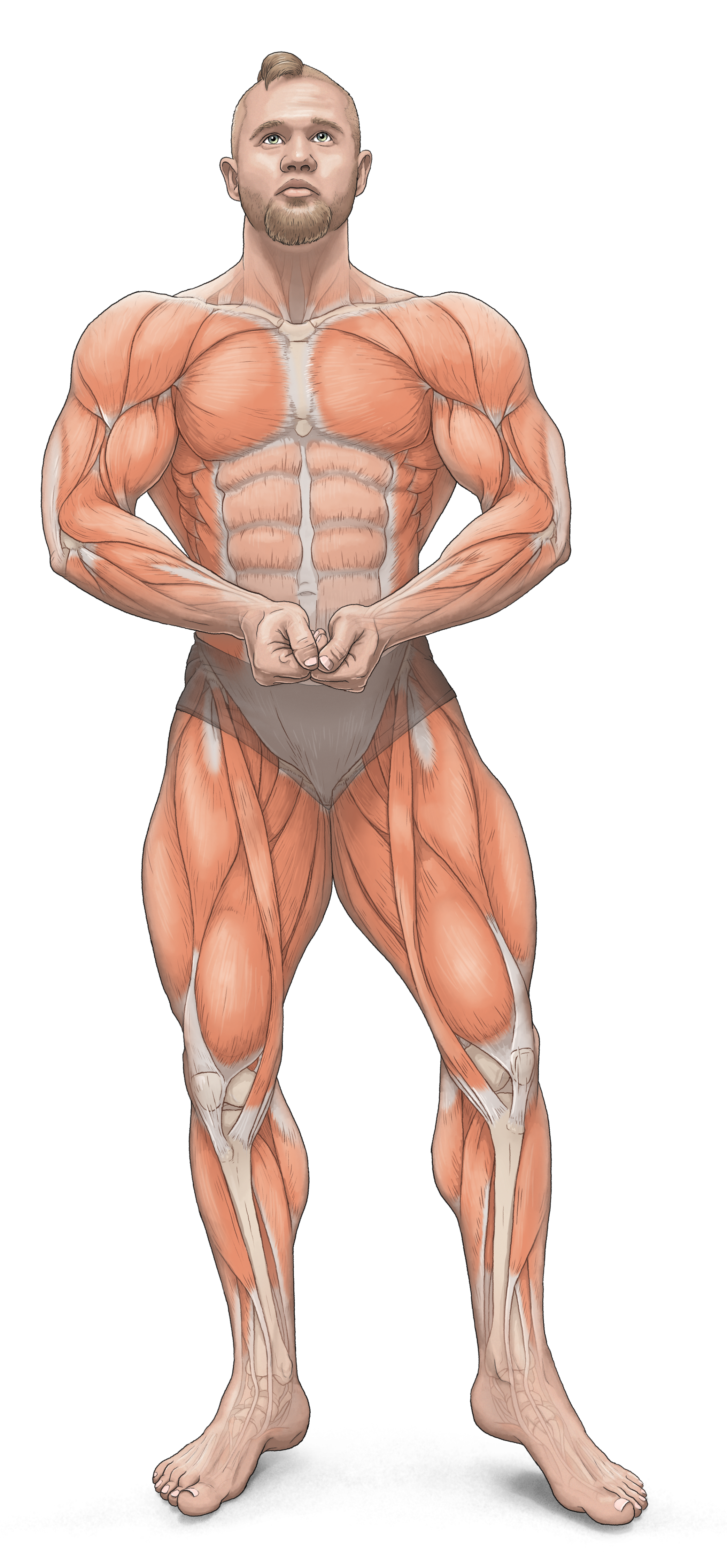 Med bodybuilding cover.png