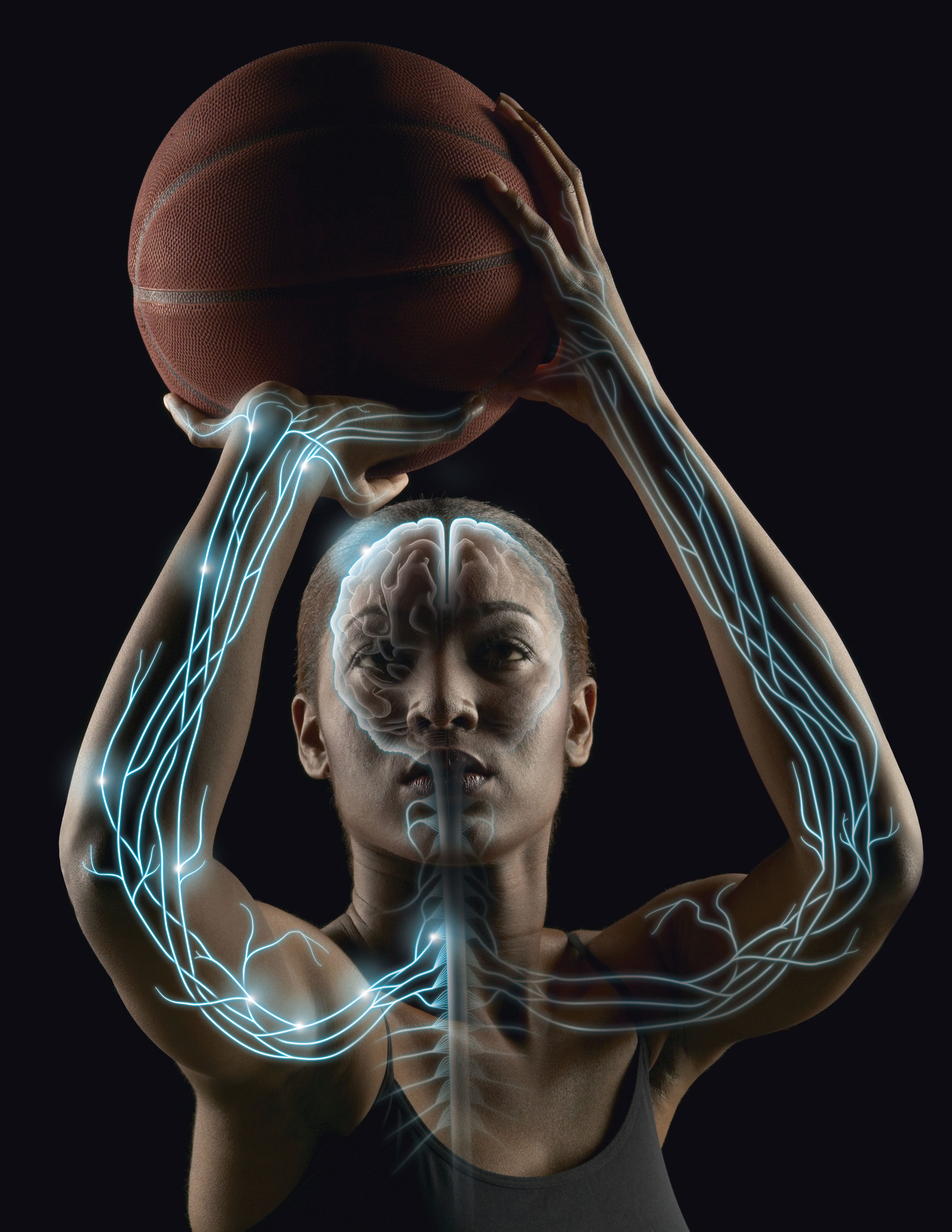 Med nervous system cover basketball.png