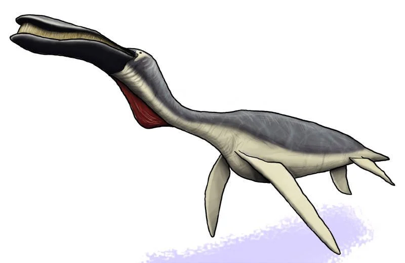 Myst Riven sunner.jpg