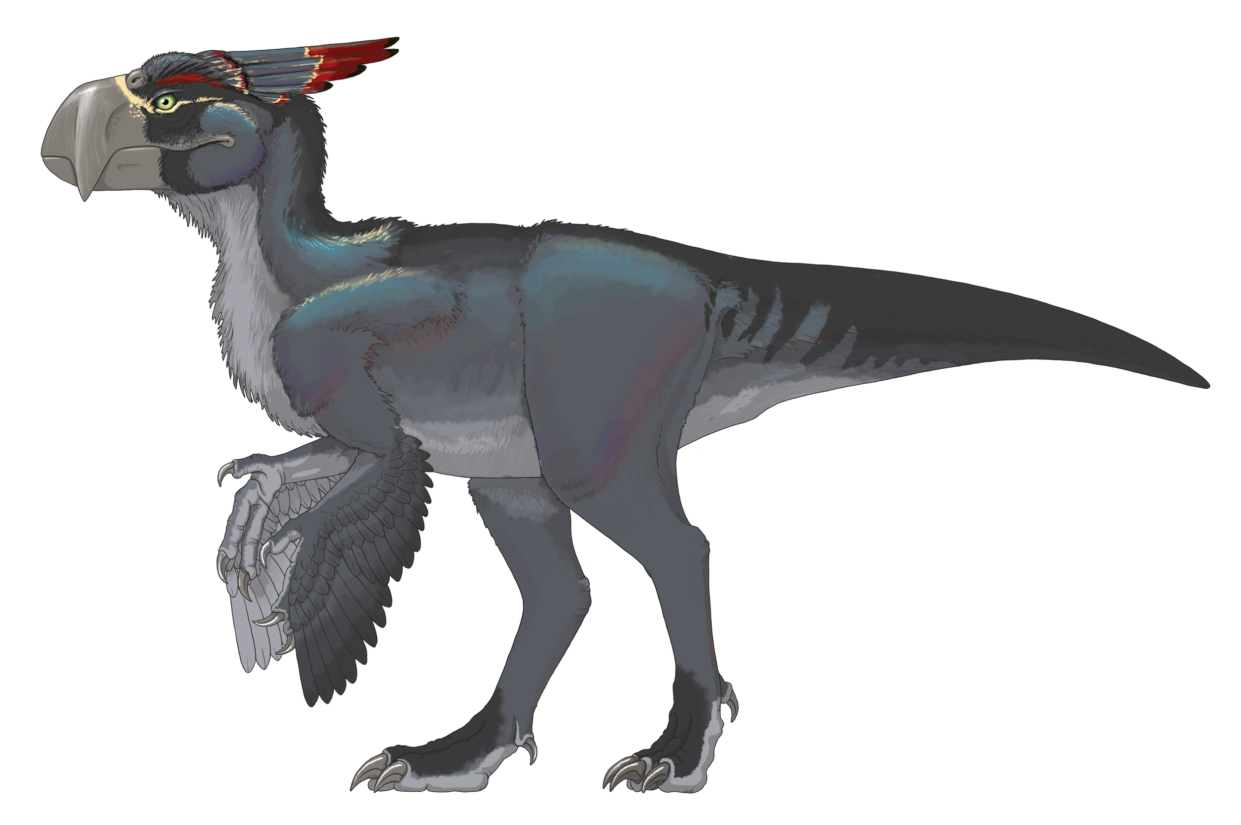 A0 Intro05 Transient Male.png