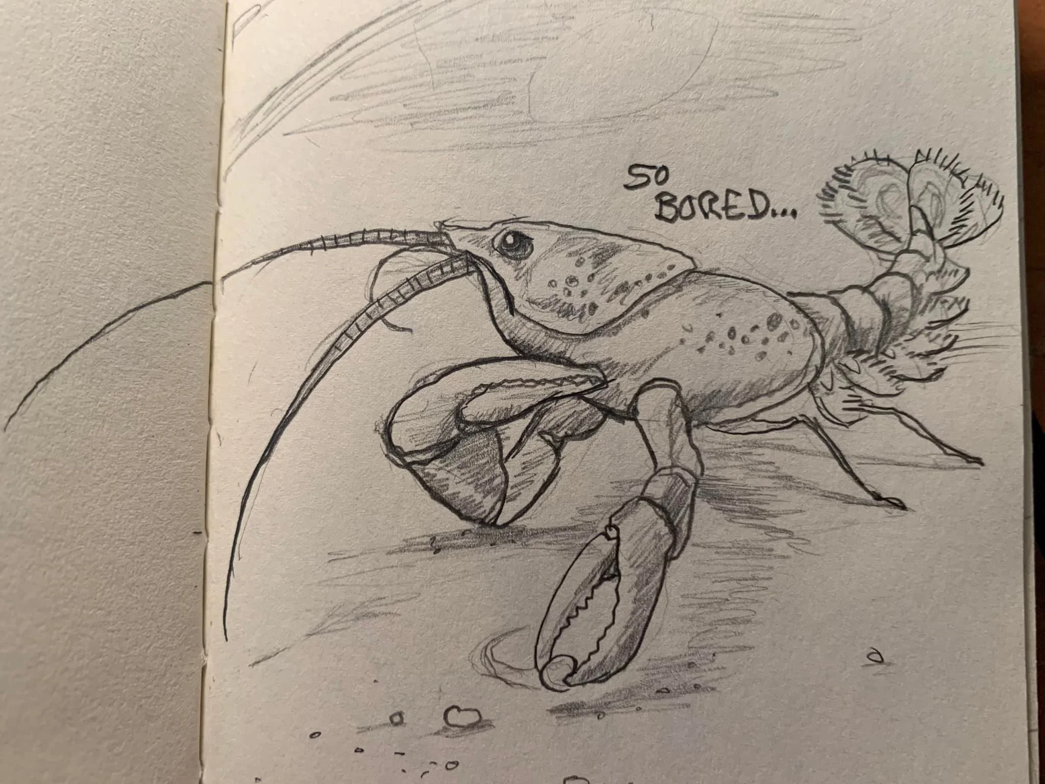 so bored.jpg