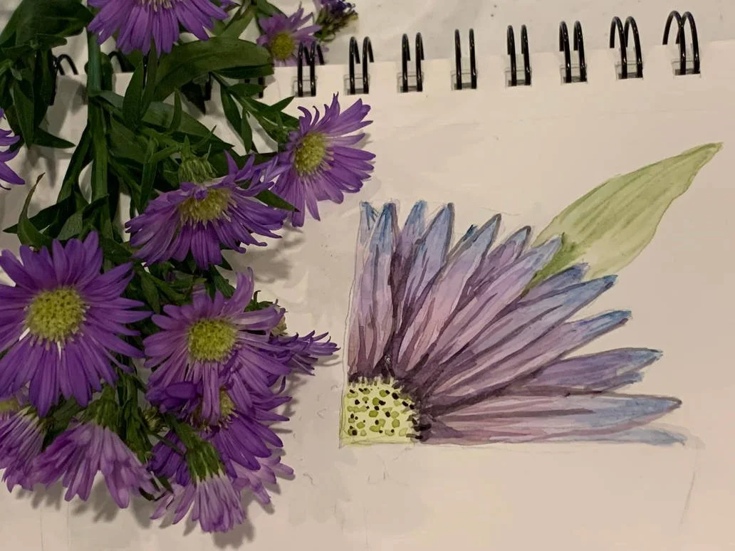 watercolor_aster_by_novahnaigahfah_dfq1seh-pre.jpg