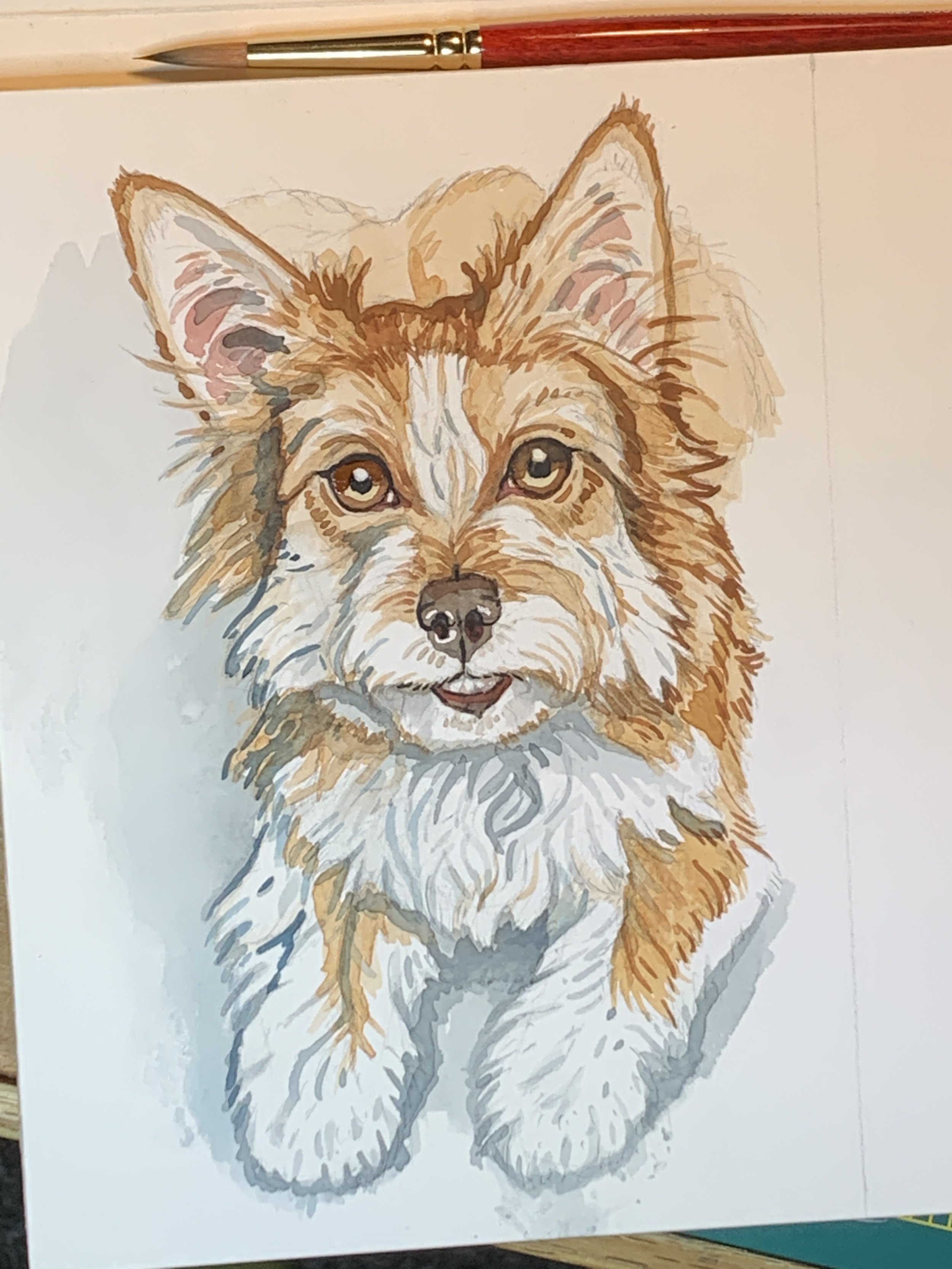 PetPortrait tan dog.JPEG