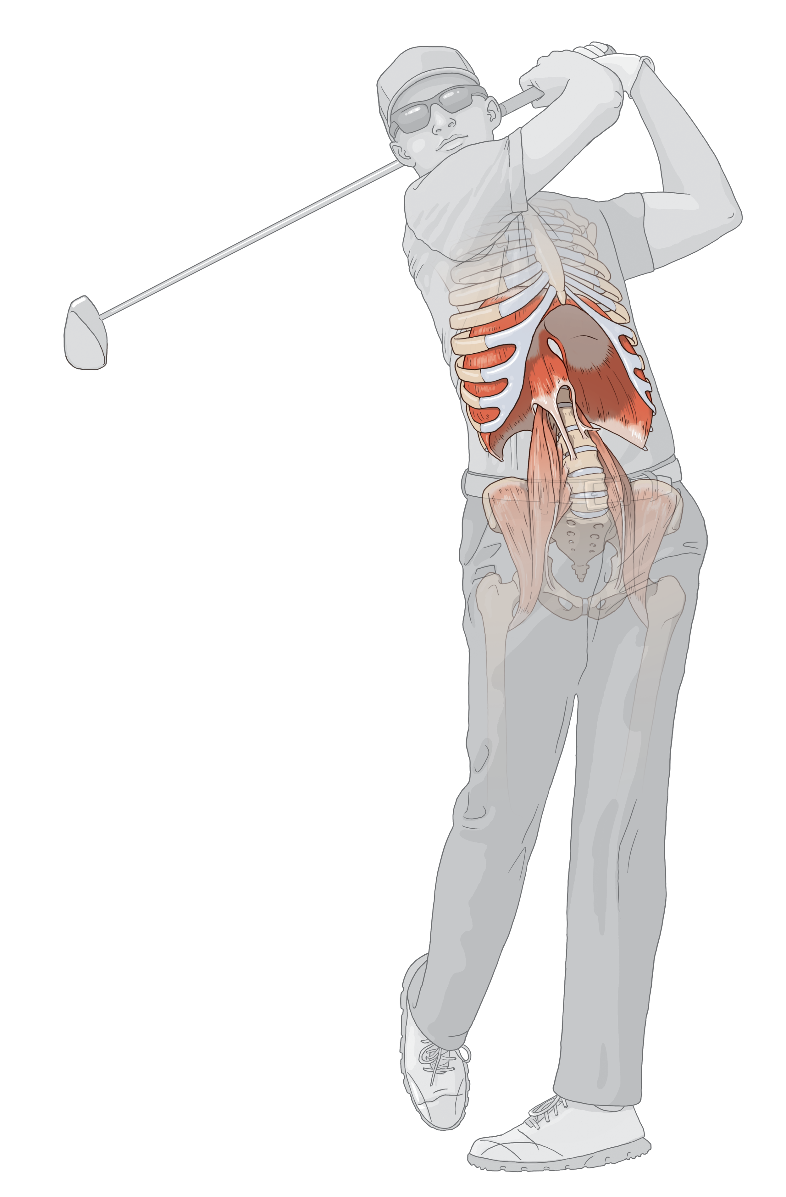 Med golfer diaphragm inf.png