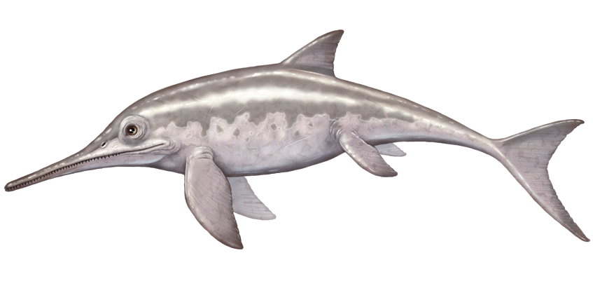 Paleo Ichthyosaur.png