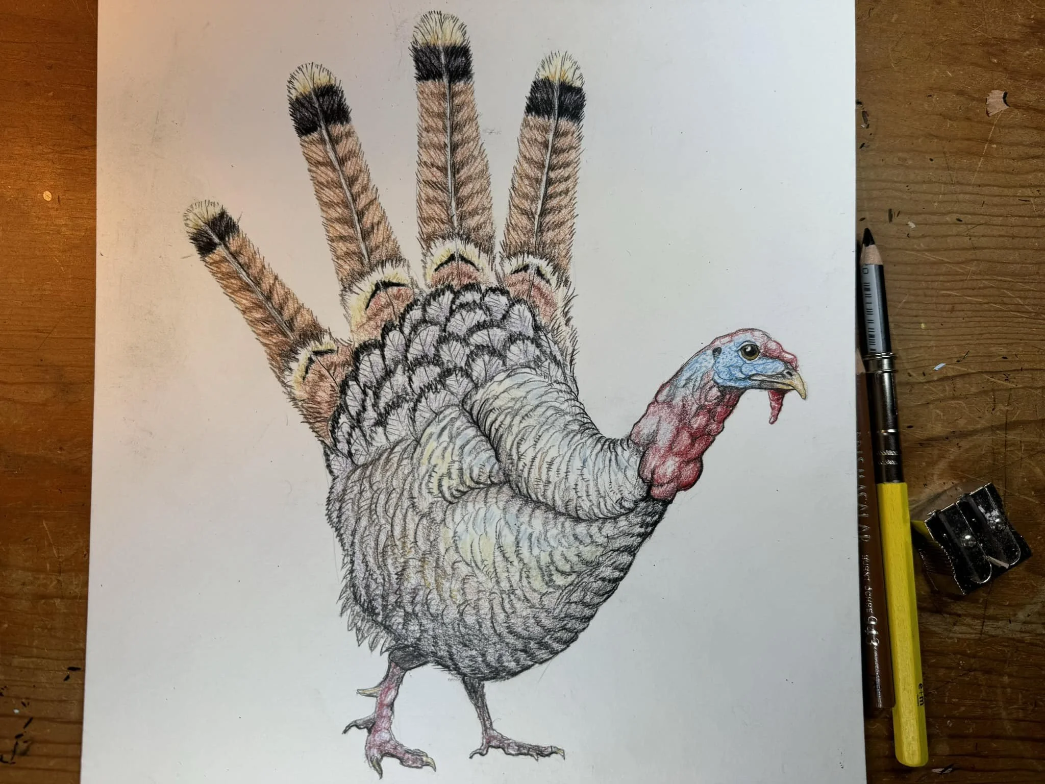 Hand Turkey.jpg