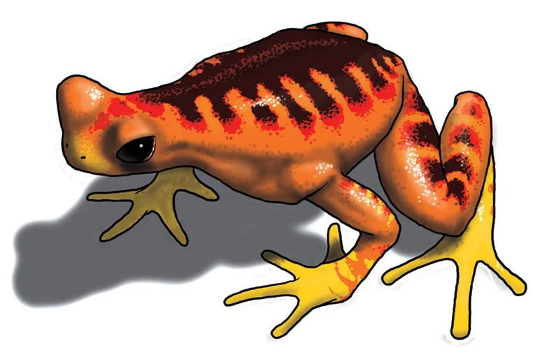 Myst Riven ytram.jpg