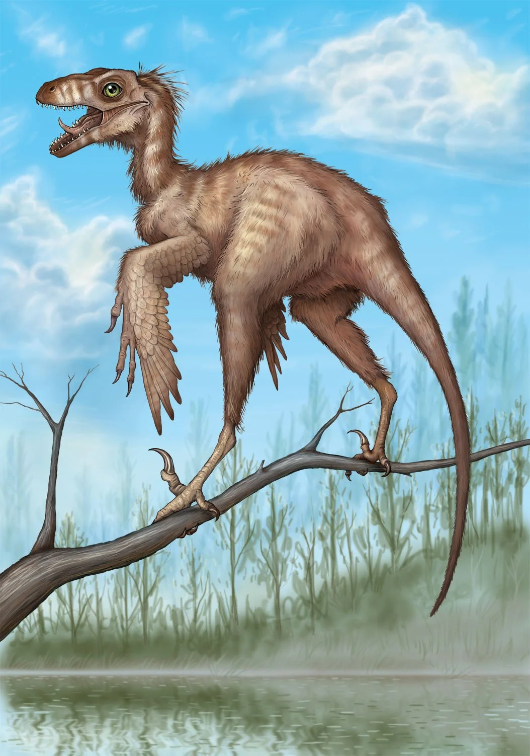 Paleo Bambiraptor.jpg
