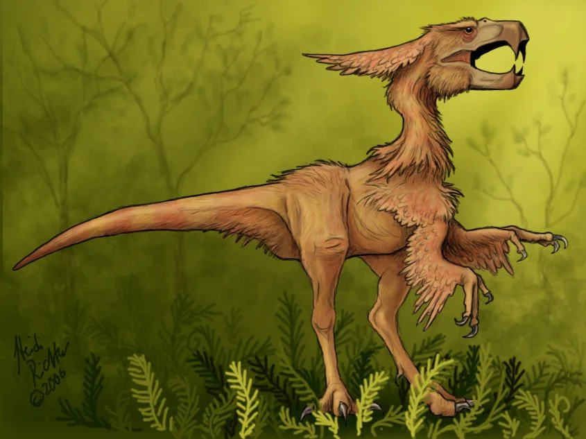 Pteroraptor_in_woods.jpg