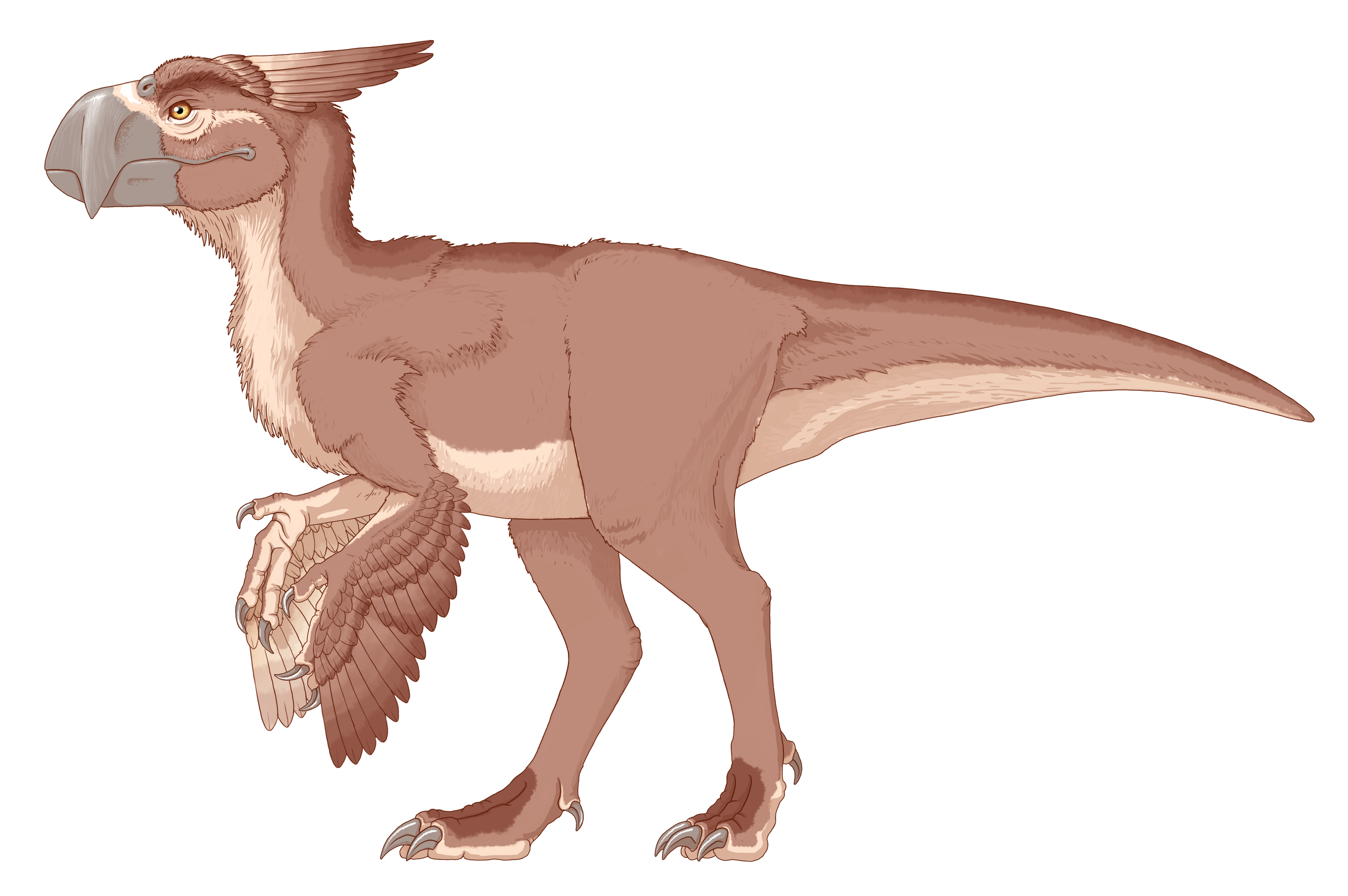 A0 Intro05 Resident Male.png