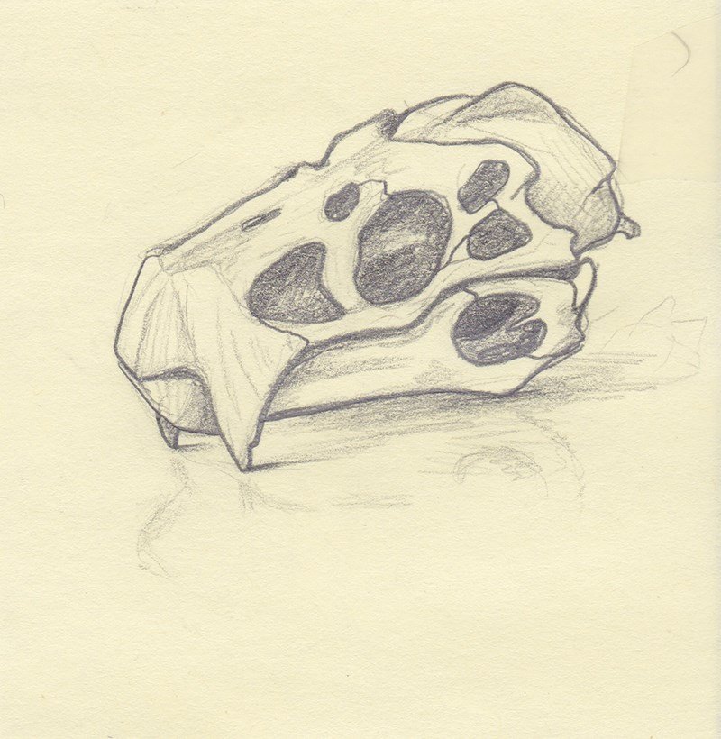 Skull post it doodle.jpg