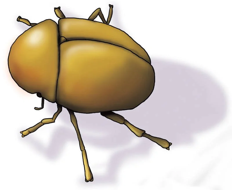 Myst Riven golden_beetle.jpg