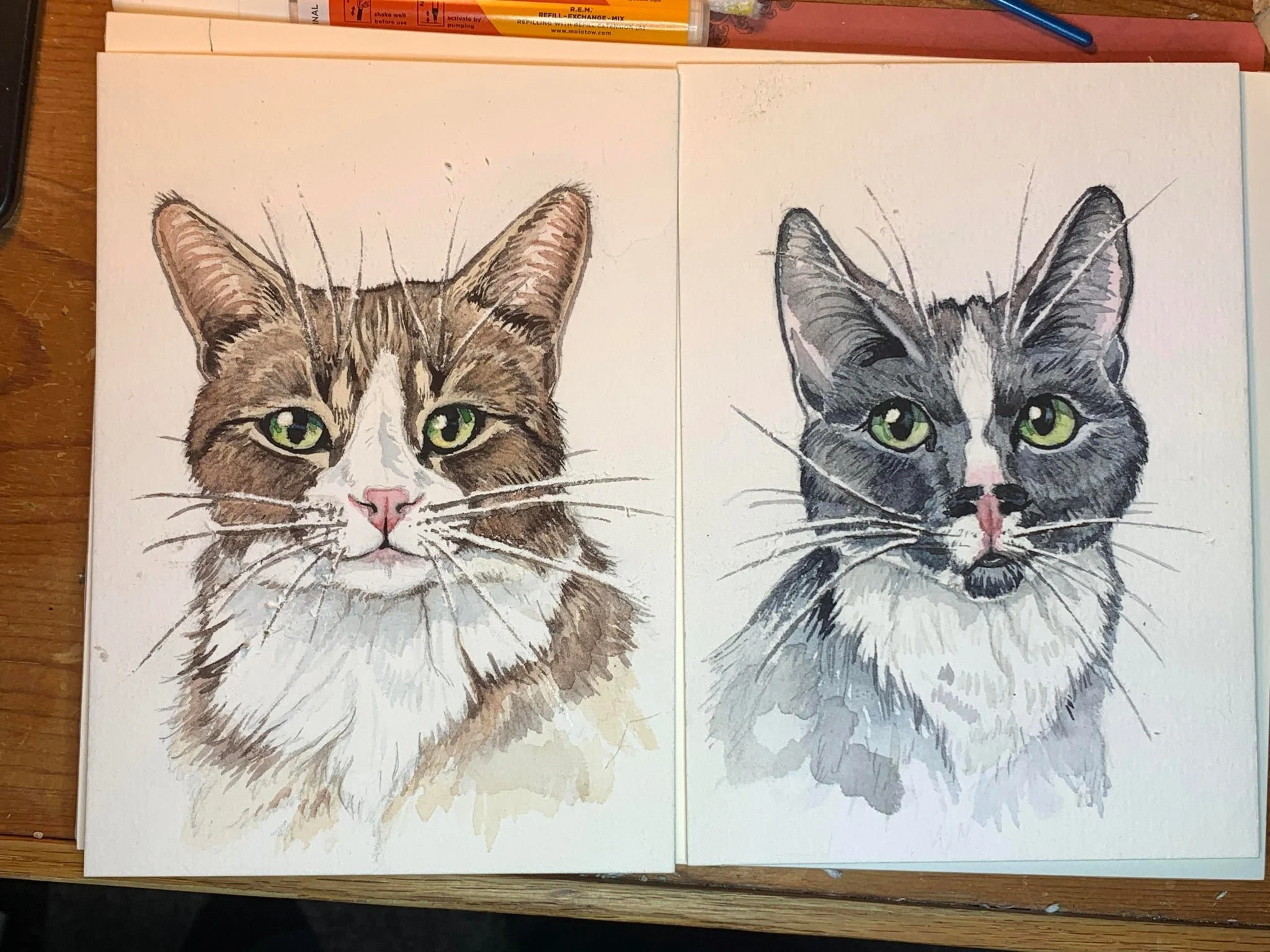 A pair of cats with very different personalities