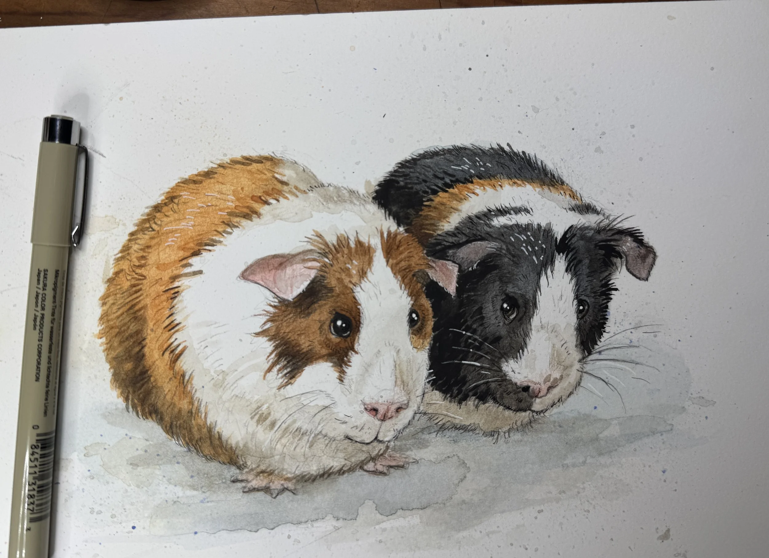 Petportrait_guinaepigs.JPEG