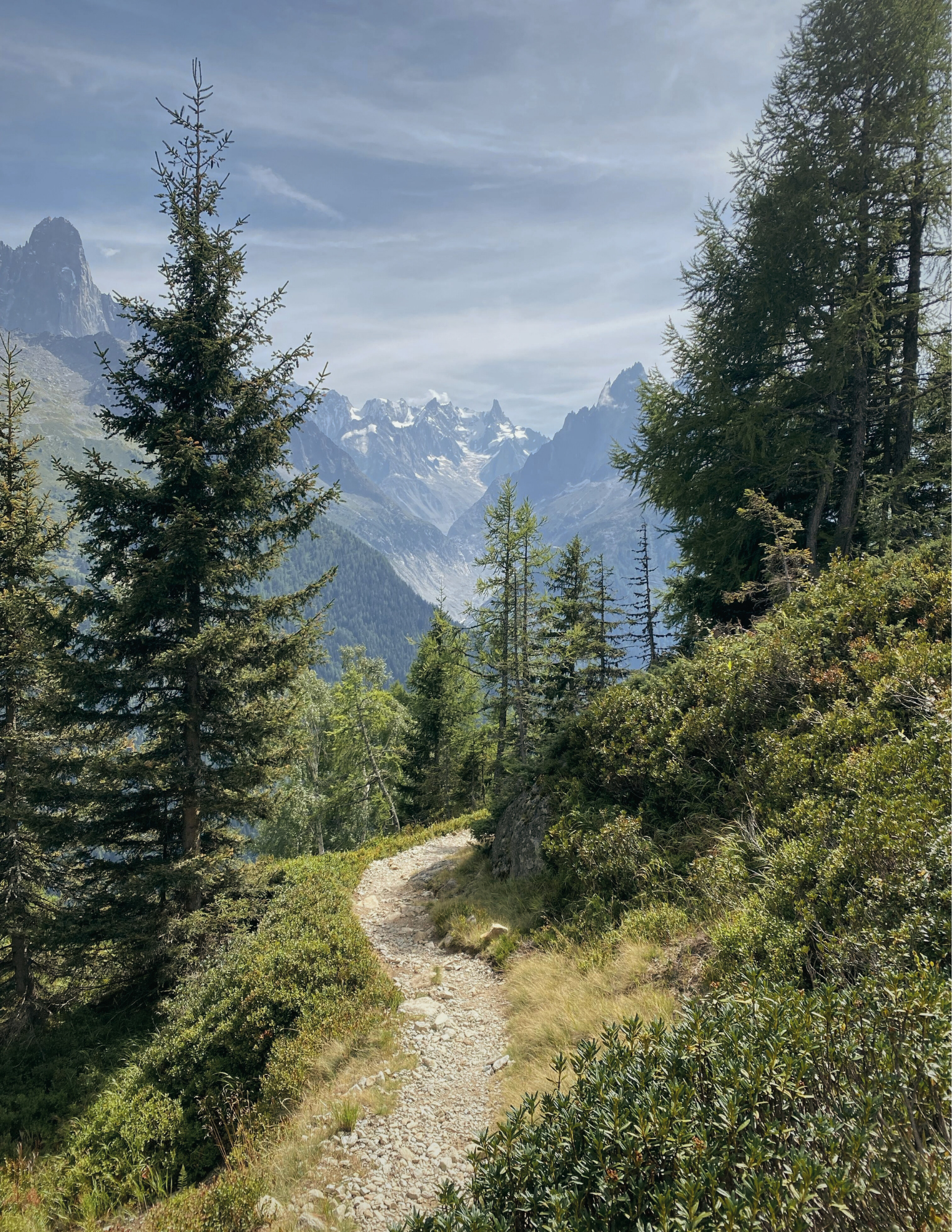 Where the Lion Roars