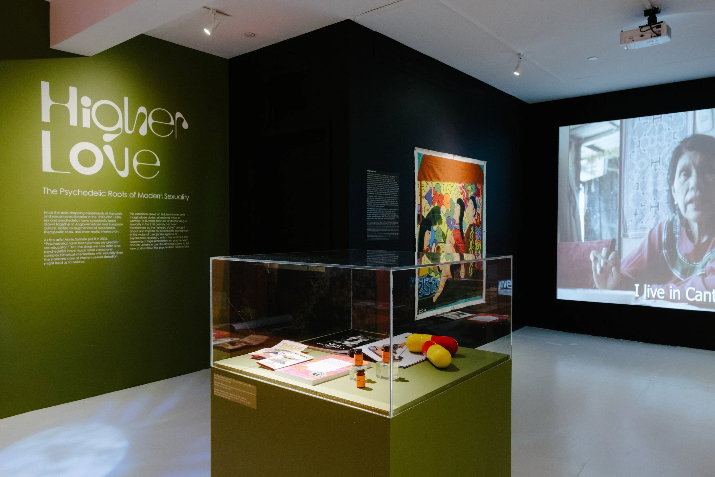 Higher Love: The Psychedelic Roots of Modern Sexuality 